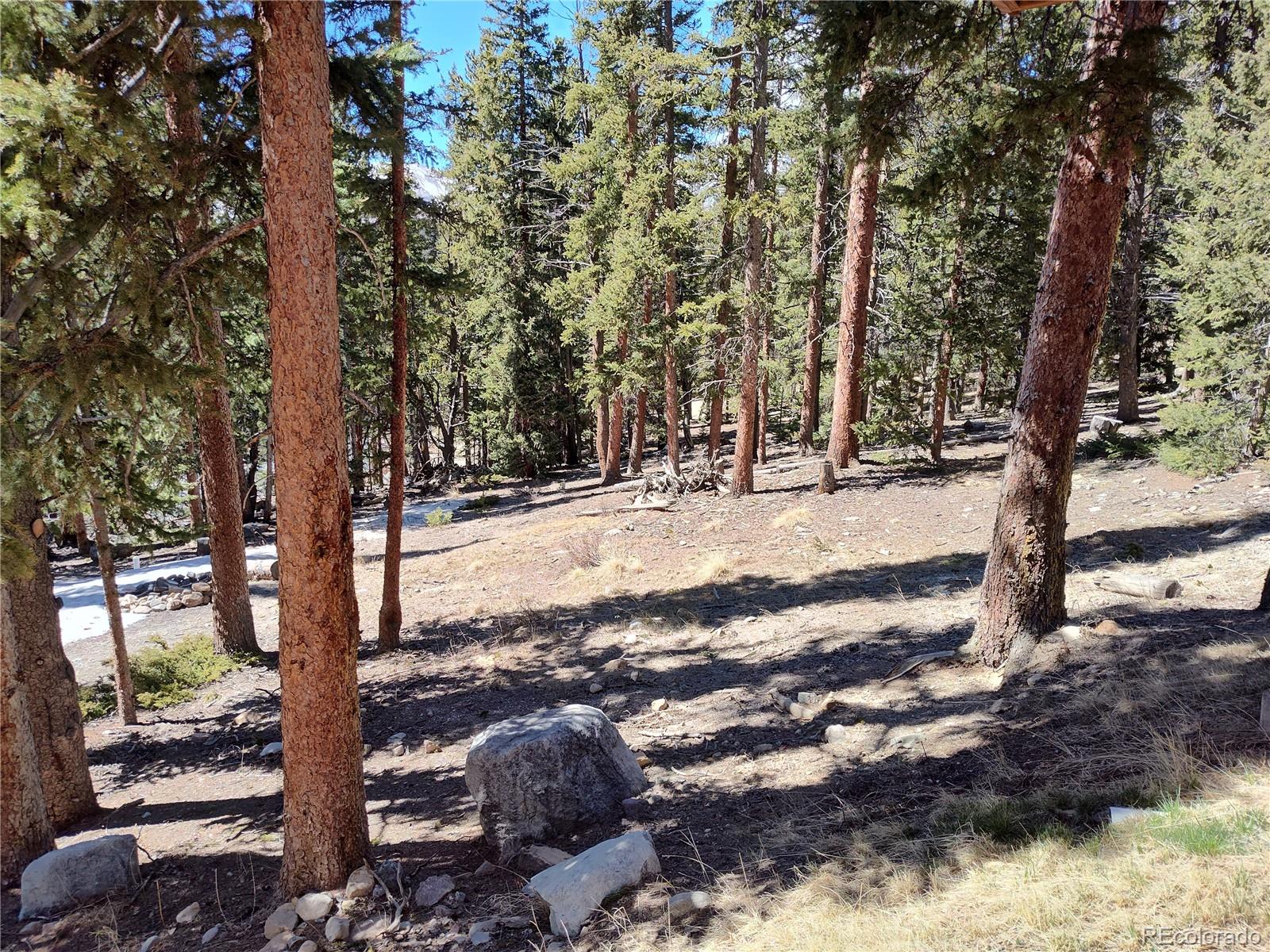 MLS Image #37 for 226  pine cone way,fairplay, Colorado