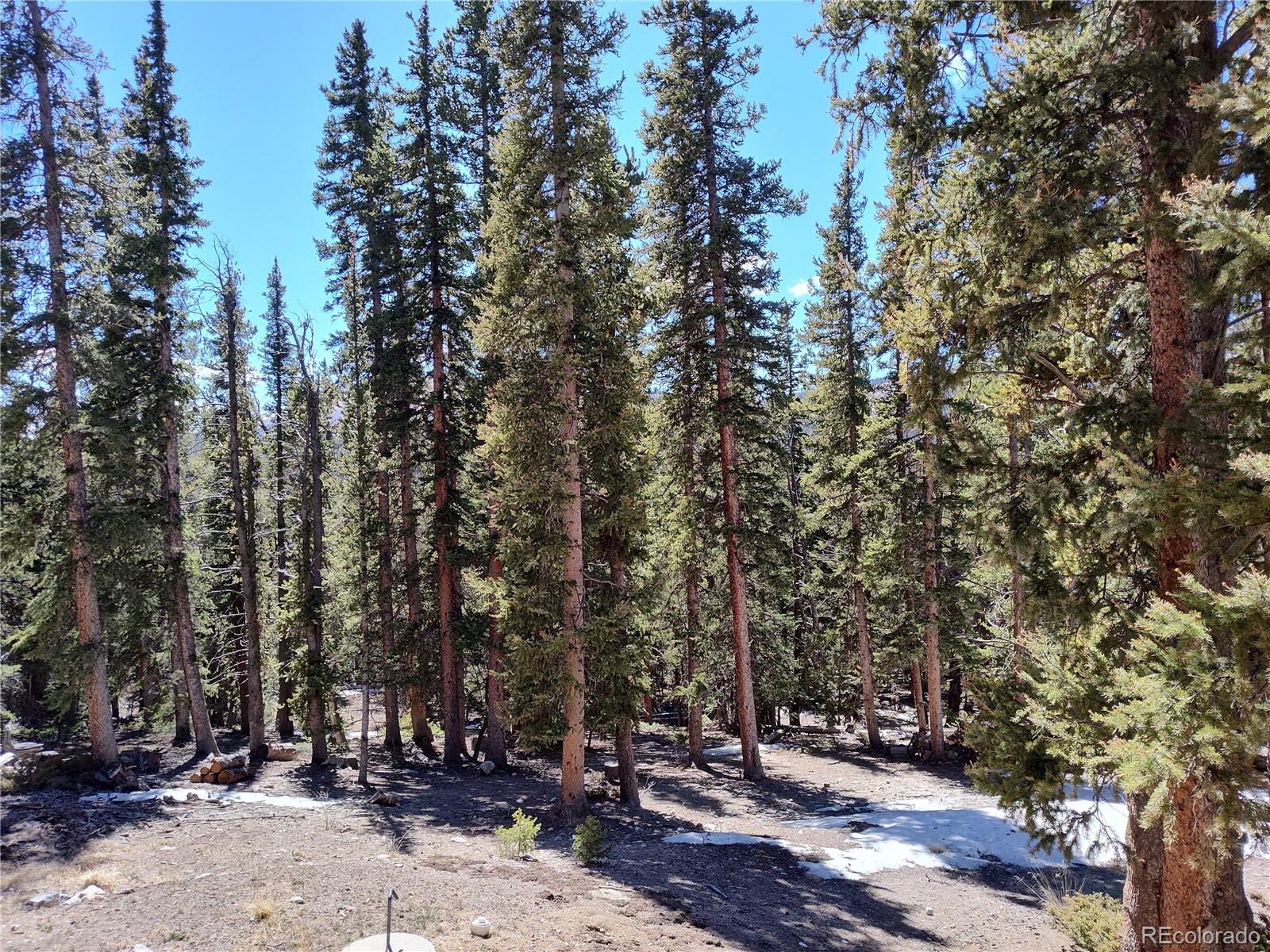 MLS Image #38 for 226  pine cone way,fairplay, Colorado