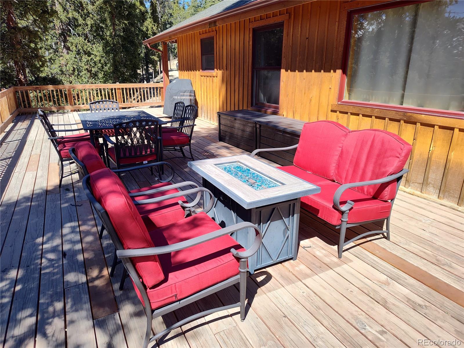 MLS Image #4 for 226  pine cone way,fairplay, Colorado