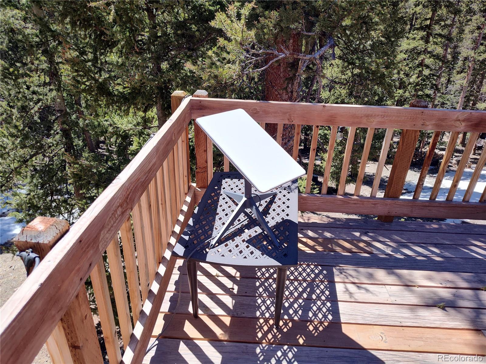 MLS Image #5 for 226  pine cone way,fairplay, Colorado