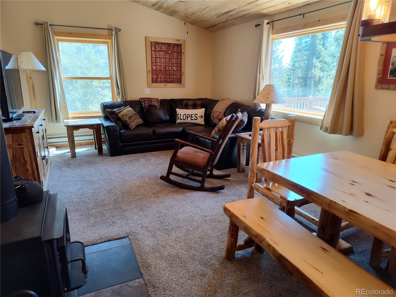 MLS Image #7 for 226  pine cone way,fairplay, Colorado