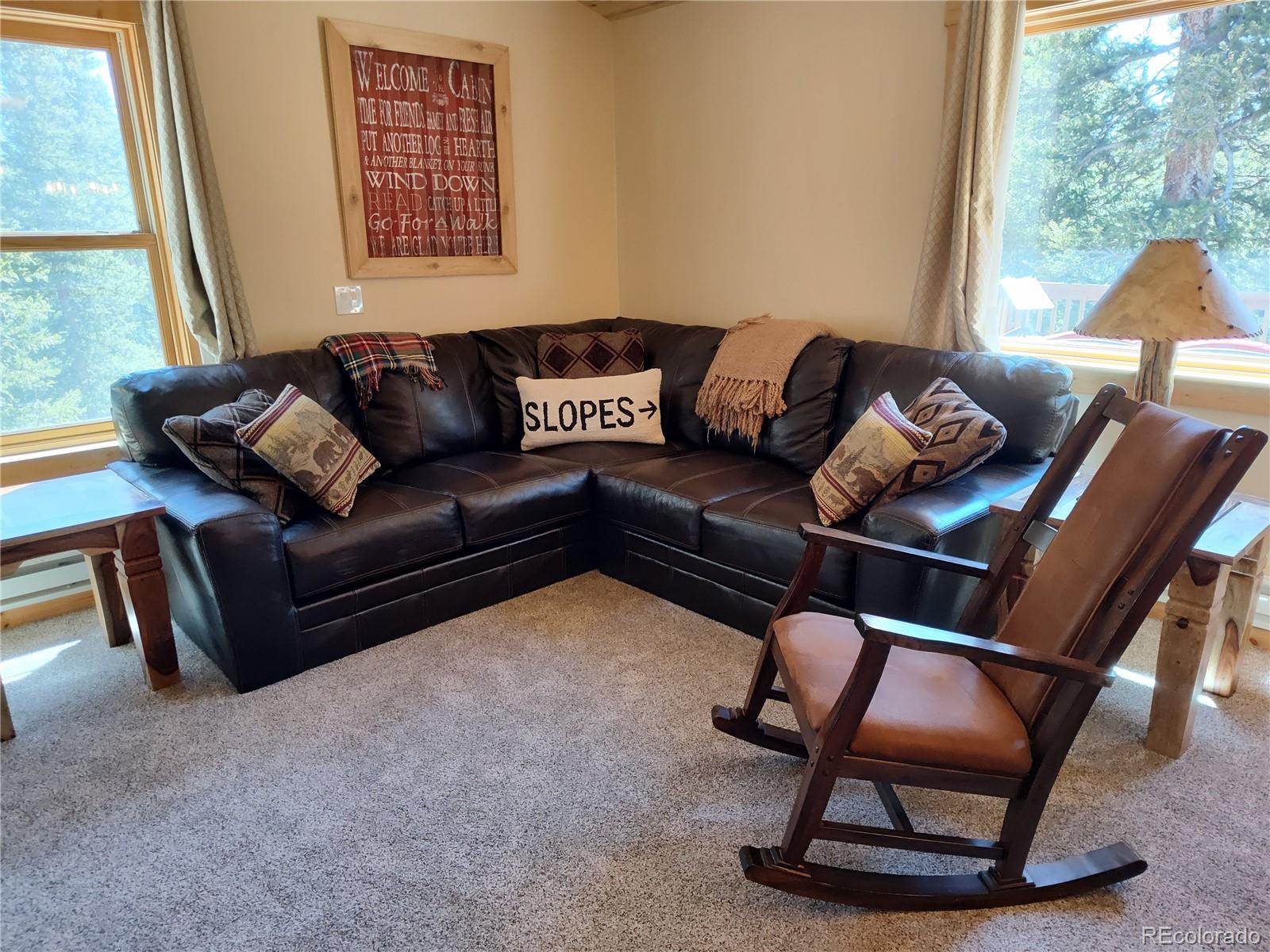 MLS Image #8 for 226  pine cone way,fairplay, Colorado