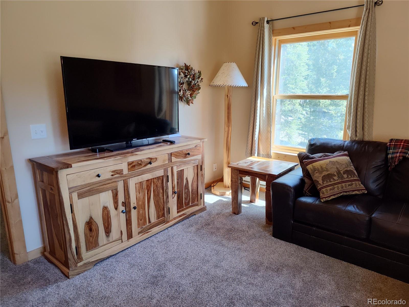 MLS Image #9 for 226  pine cone way,fairplay, Colorado