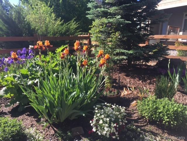 MLS Image #45 for 4504  rabbit mountain road,broomfield, Colorado