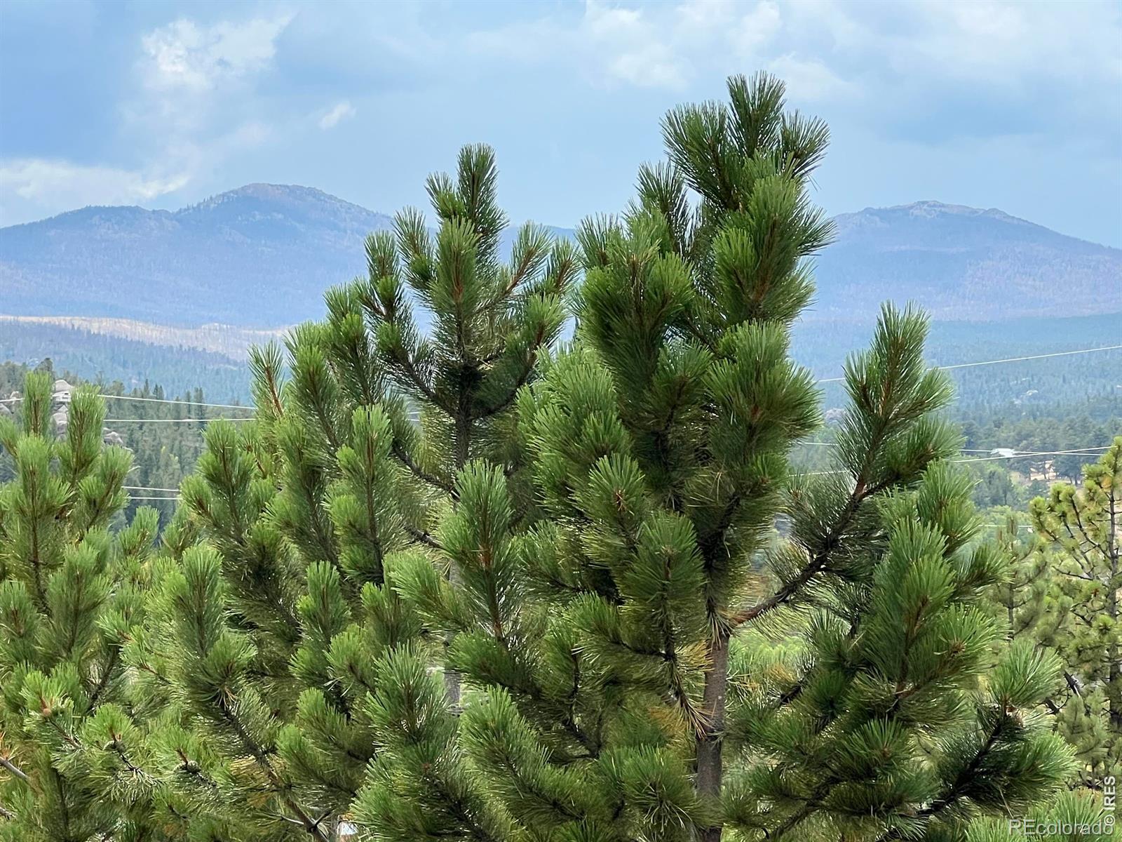 MLS Image #24 for 24688 w county road 74e ,red feather lakes, Colorado