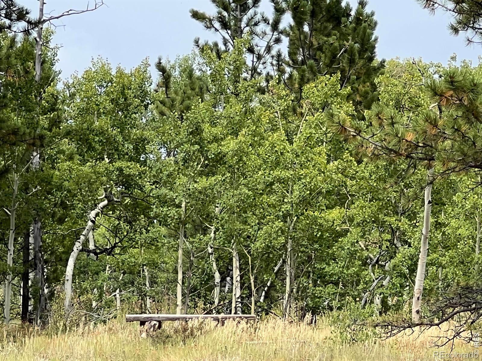 MLS Image #25 for 24688 w county road 74e ,red feather lakes, Colorado