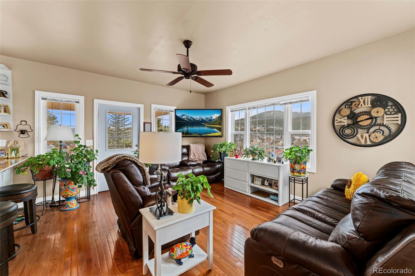 MLS Image #3 for 365 n bridge street,nederland, Colorado