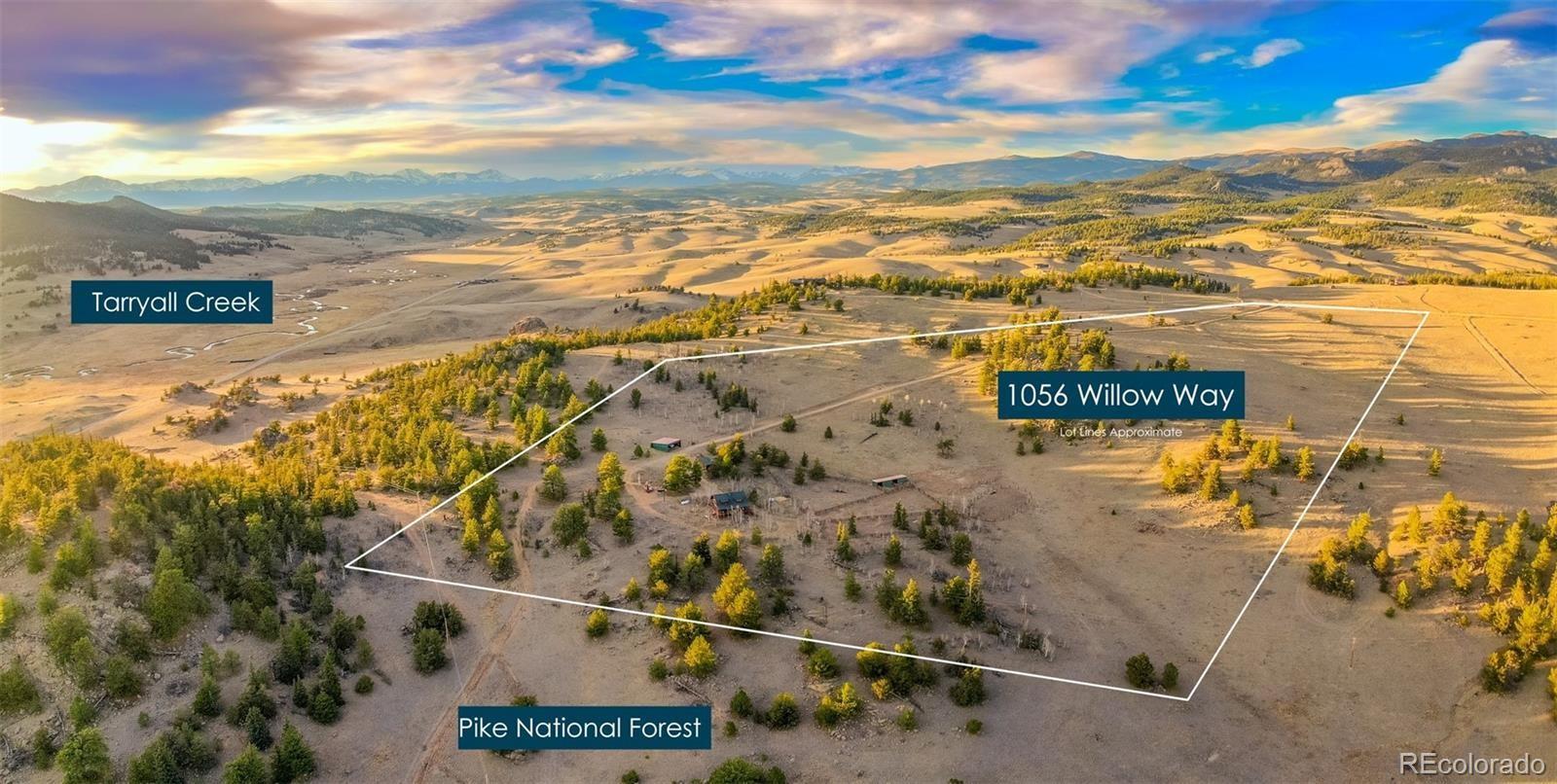 MLS Image #4 for 1326  willow way,jefferson, Colorado