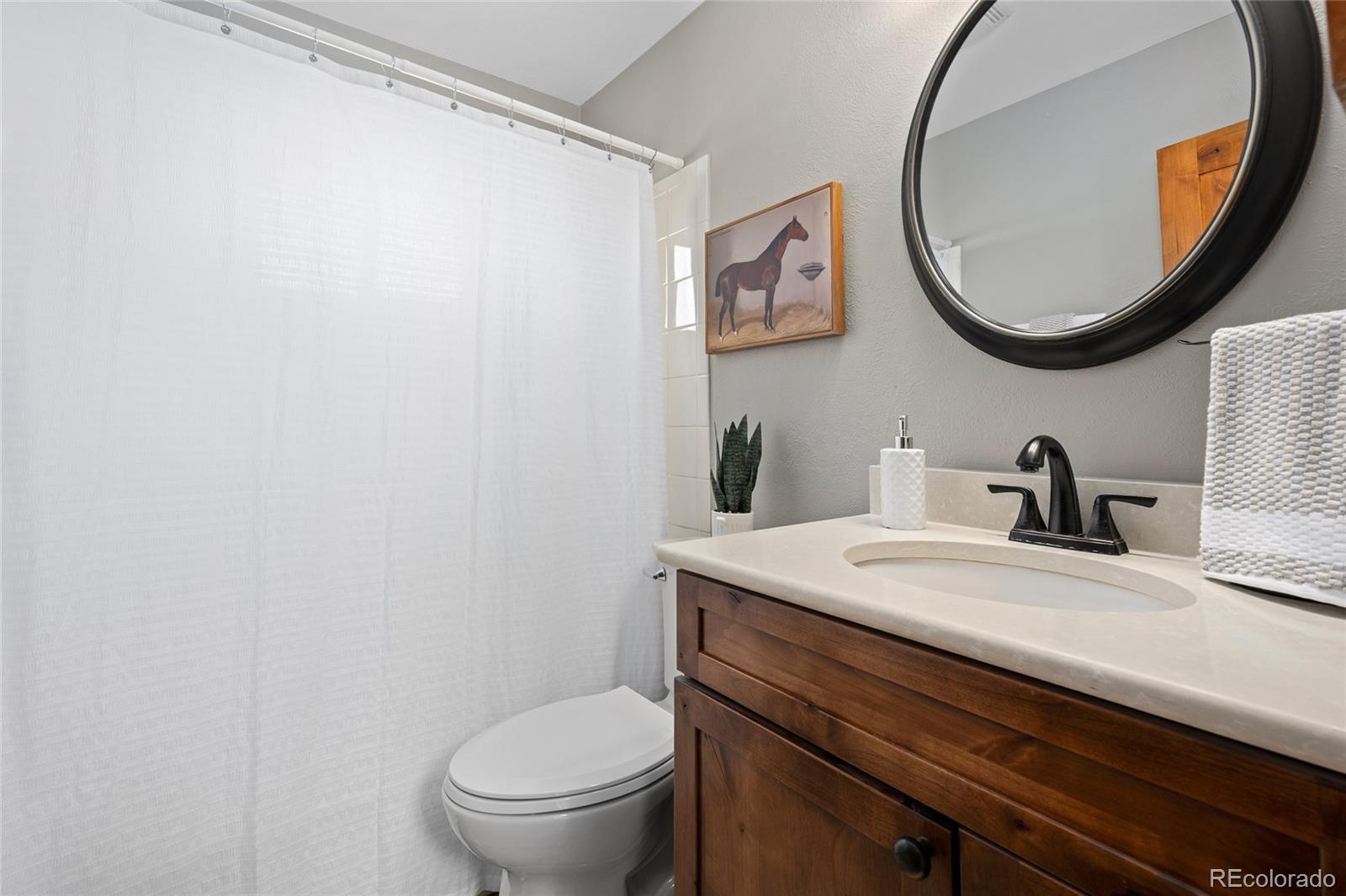 MLS Image #21 for 12941  2nd street,parker, Colorado