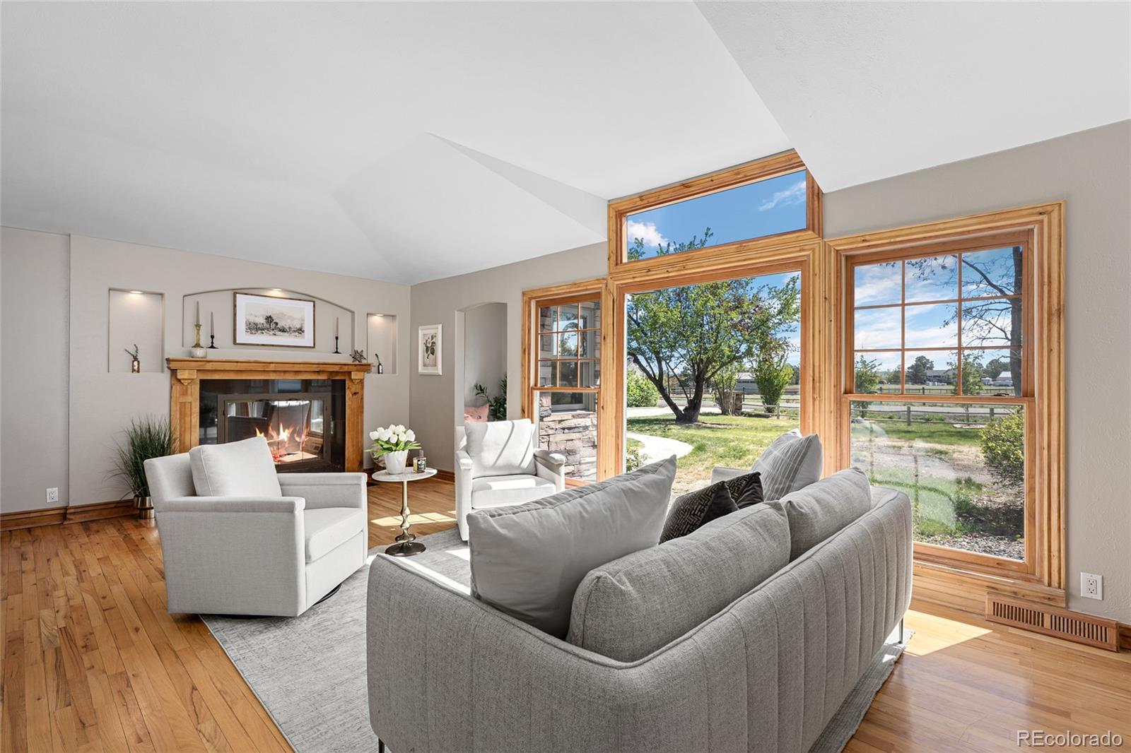 MLS Image #4 for 12941  2nd street,parker, Colorado