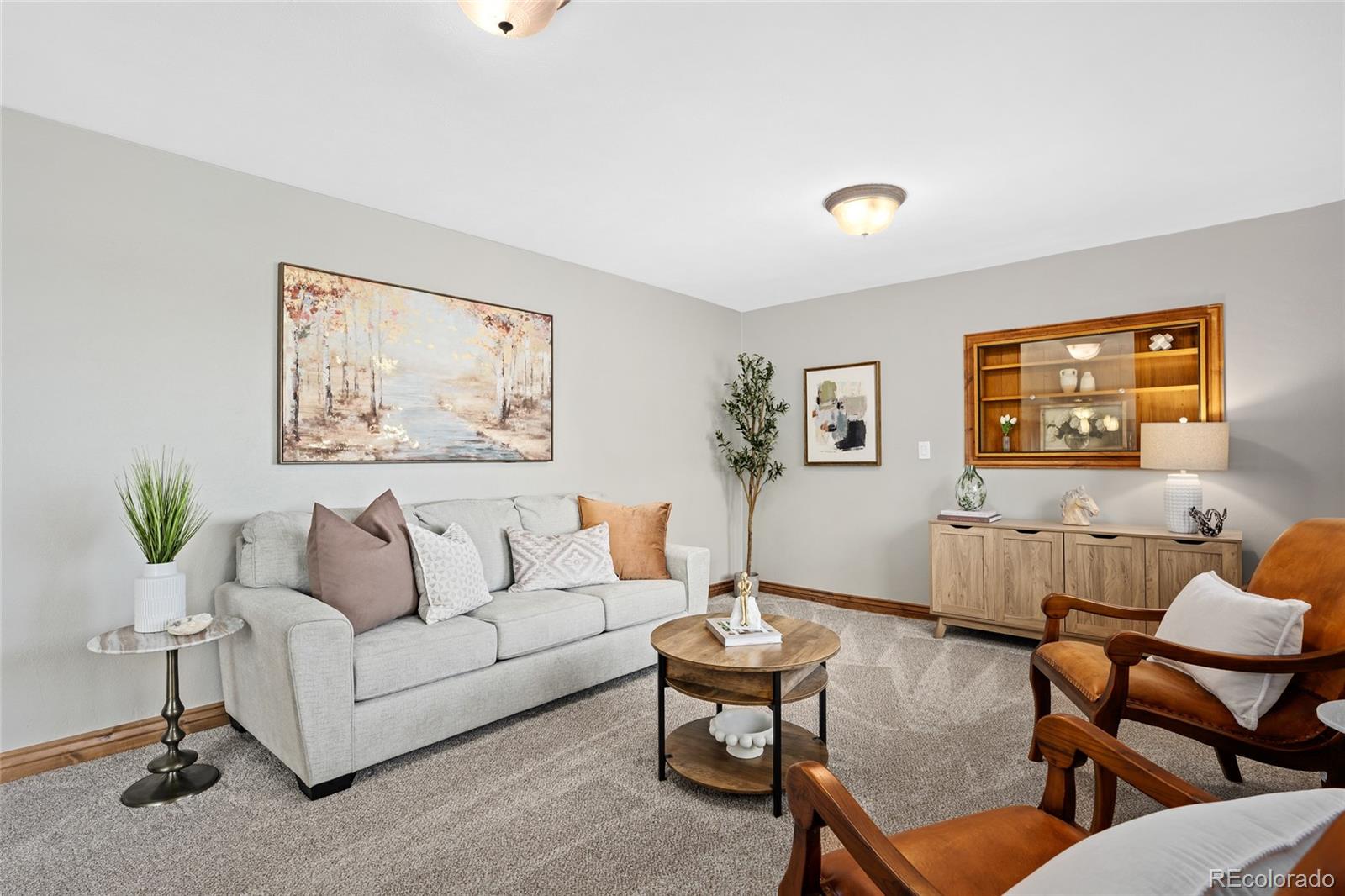 MLS Image #7 for 12941  2nd street,parker, Colorado