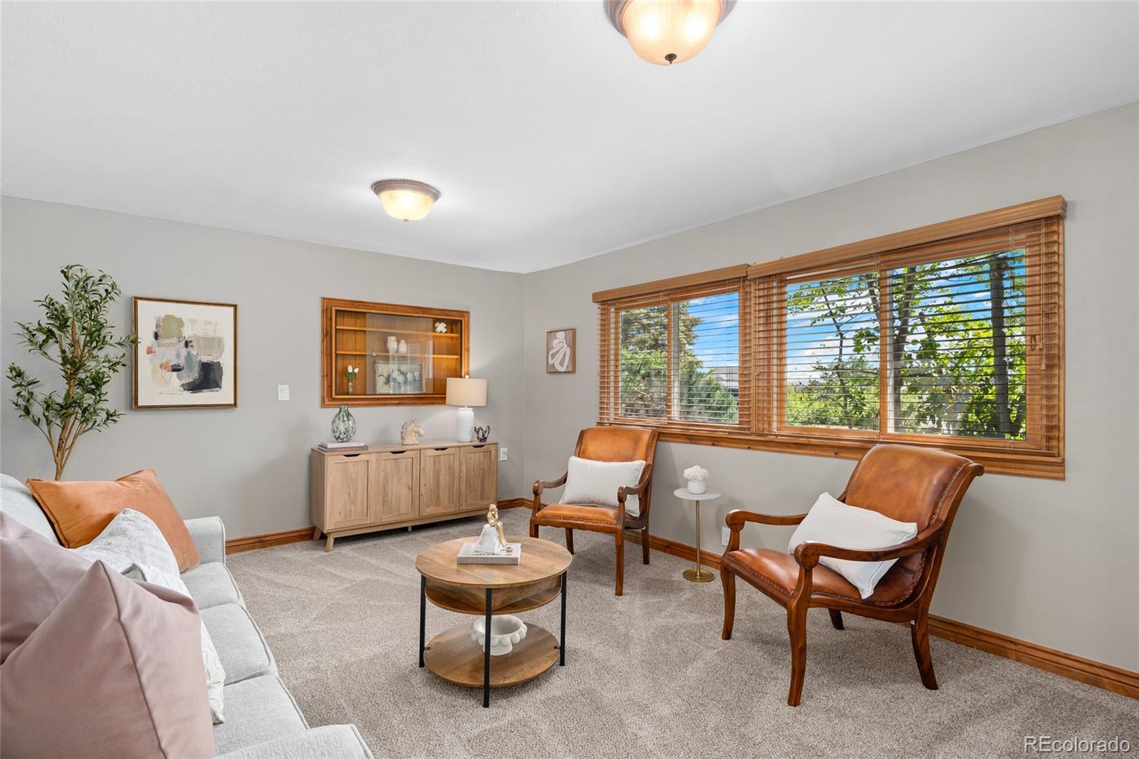 MLS Image #8 for 12941  2nd street,parker, Colorado