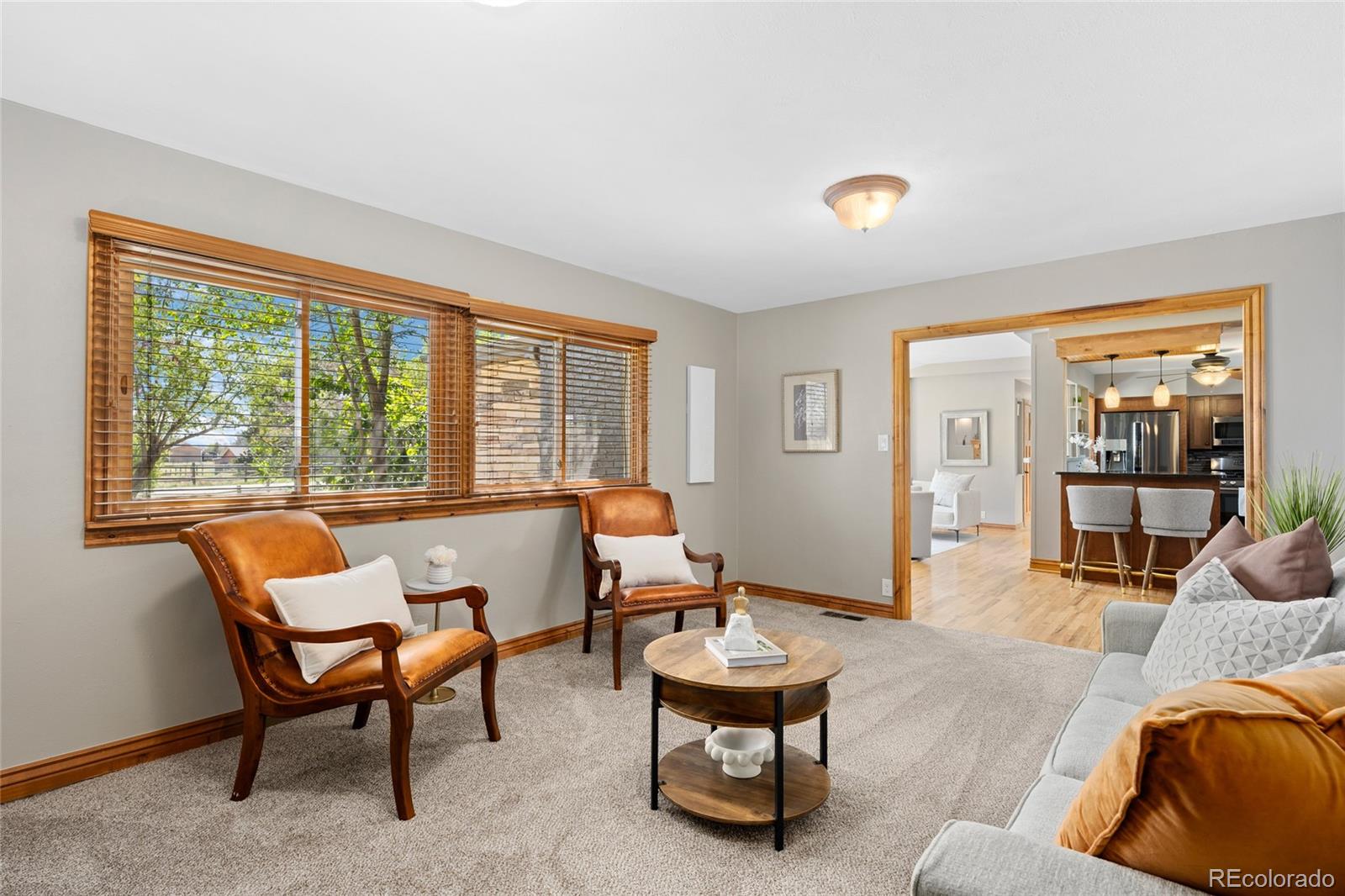 MLS Image #9 for 12941  2nd street,parker, Colorado