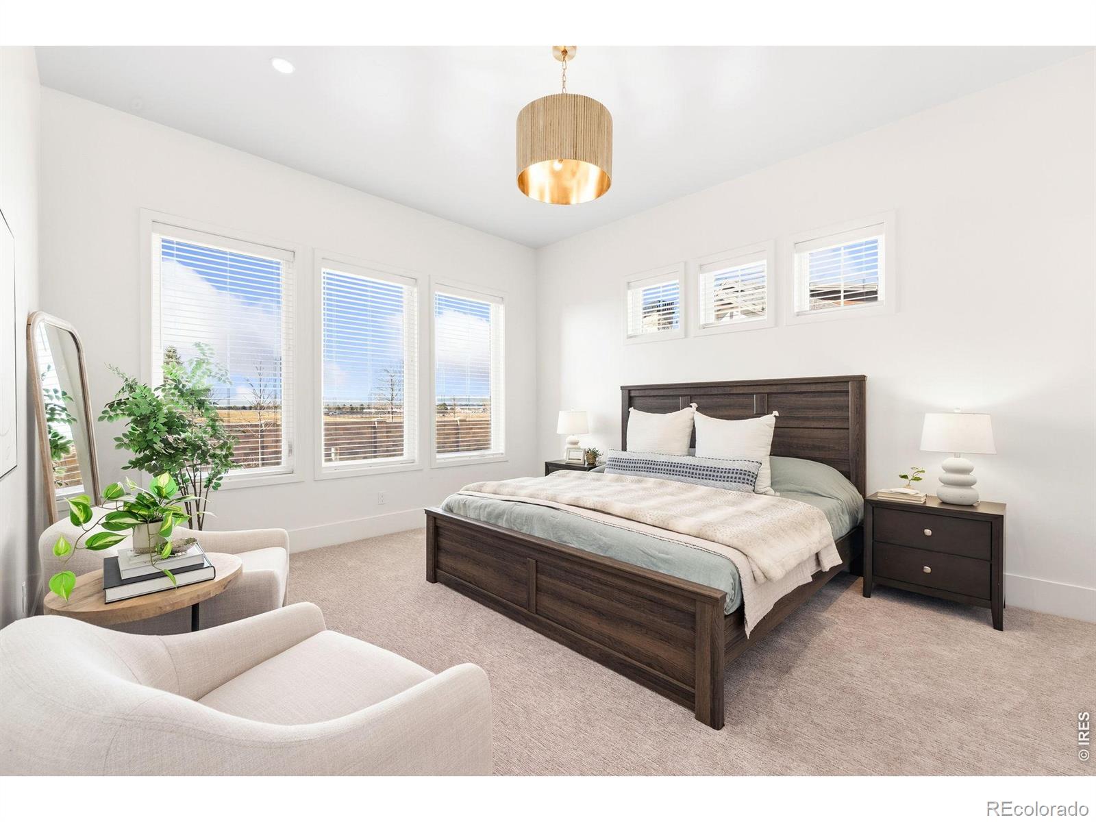 MLS Image #19 for 6309  foundry court,timnath, Colorado