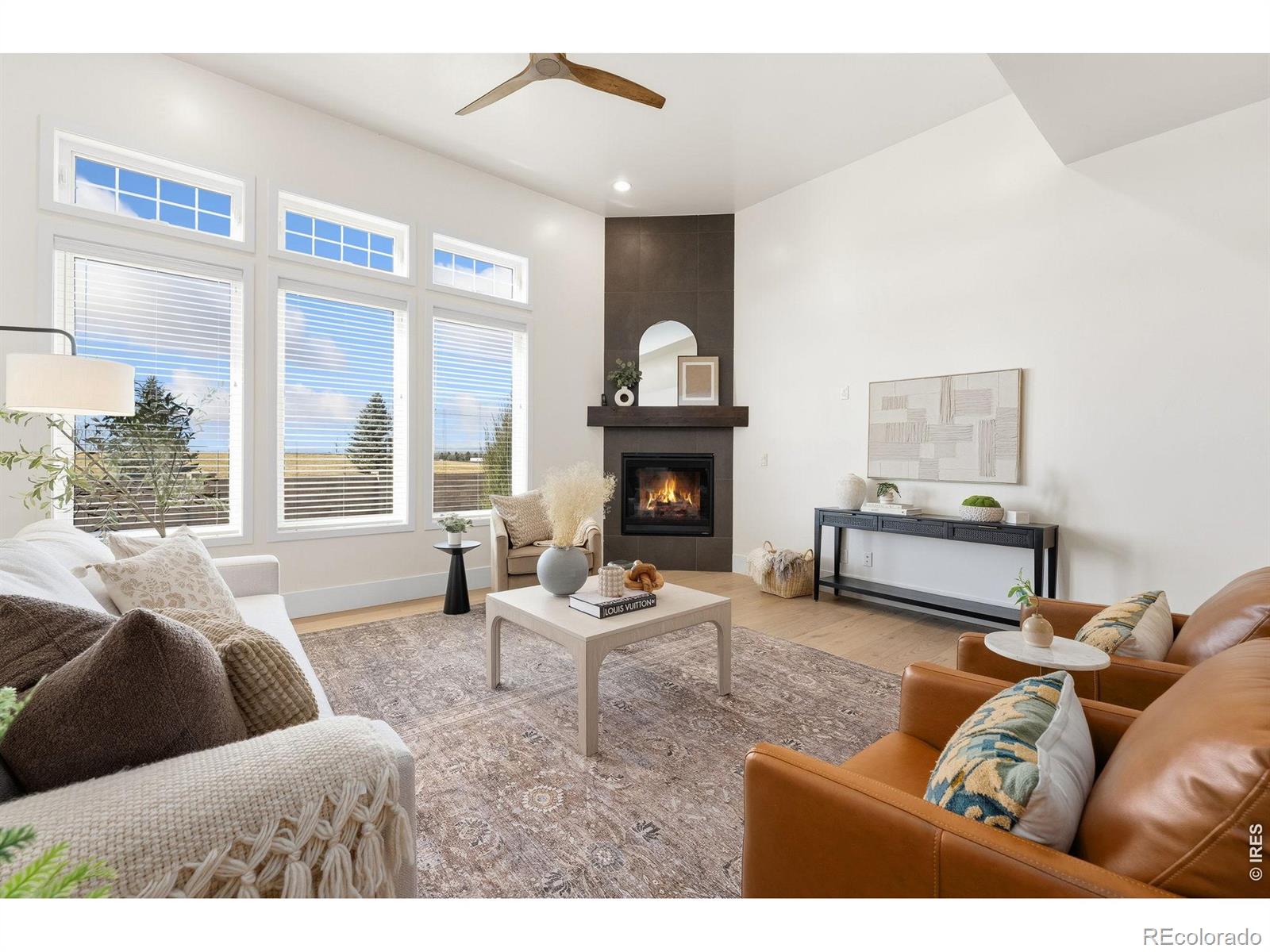 MLS Image #4 for 6309  foundry court,timnath, Colorado