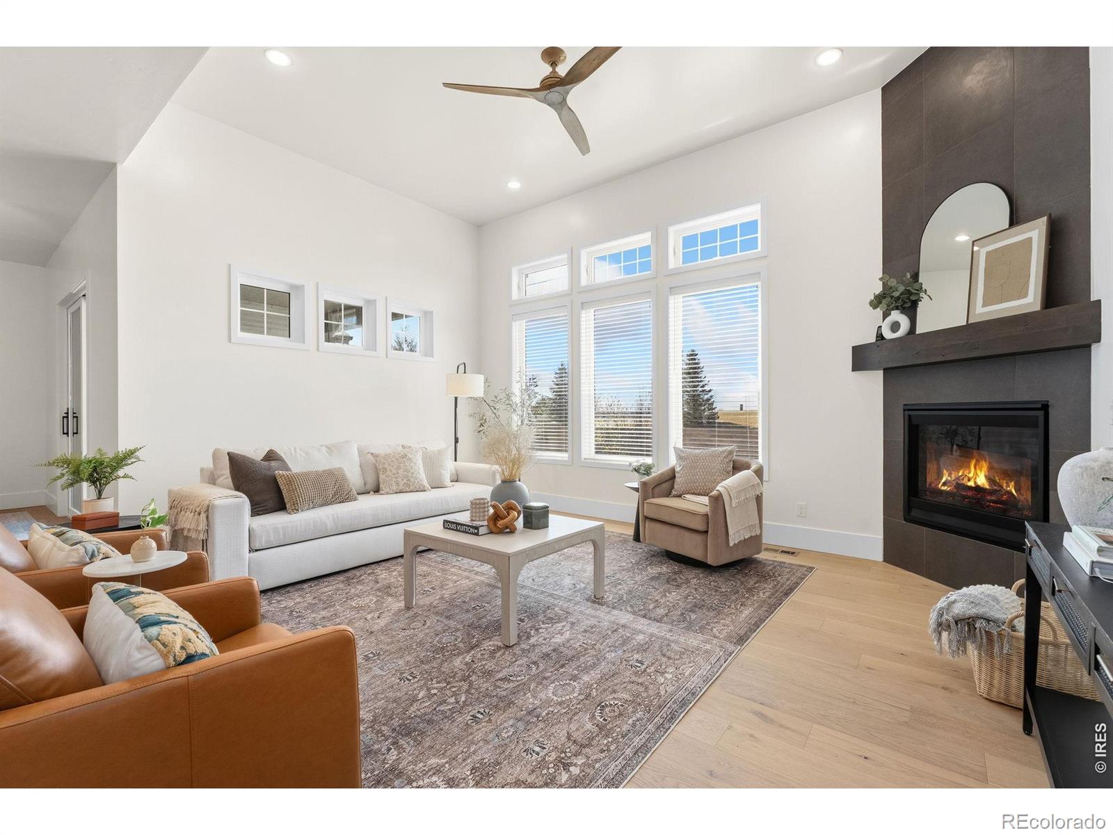 MLS Image #7 for 6309  foundry court,timnath, Colorado