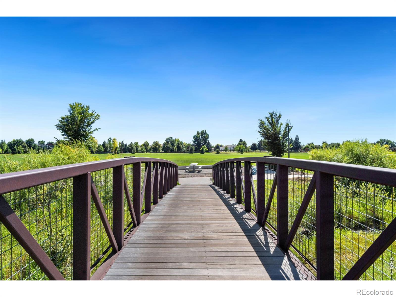 MLS Image #46 for 2313  lodgepole creek drive,fort collins, Colorado
