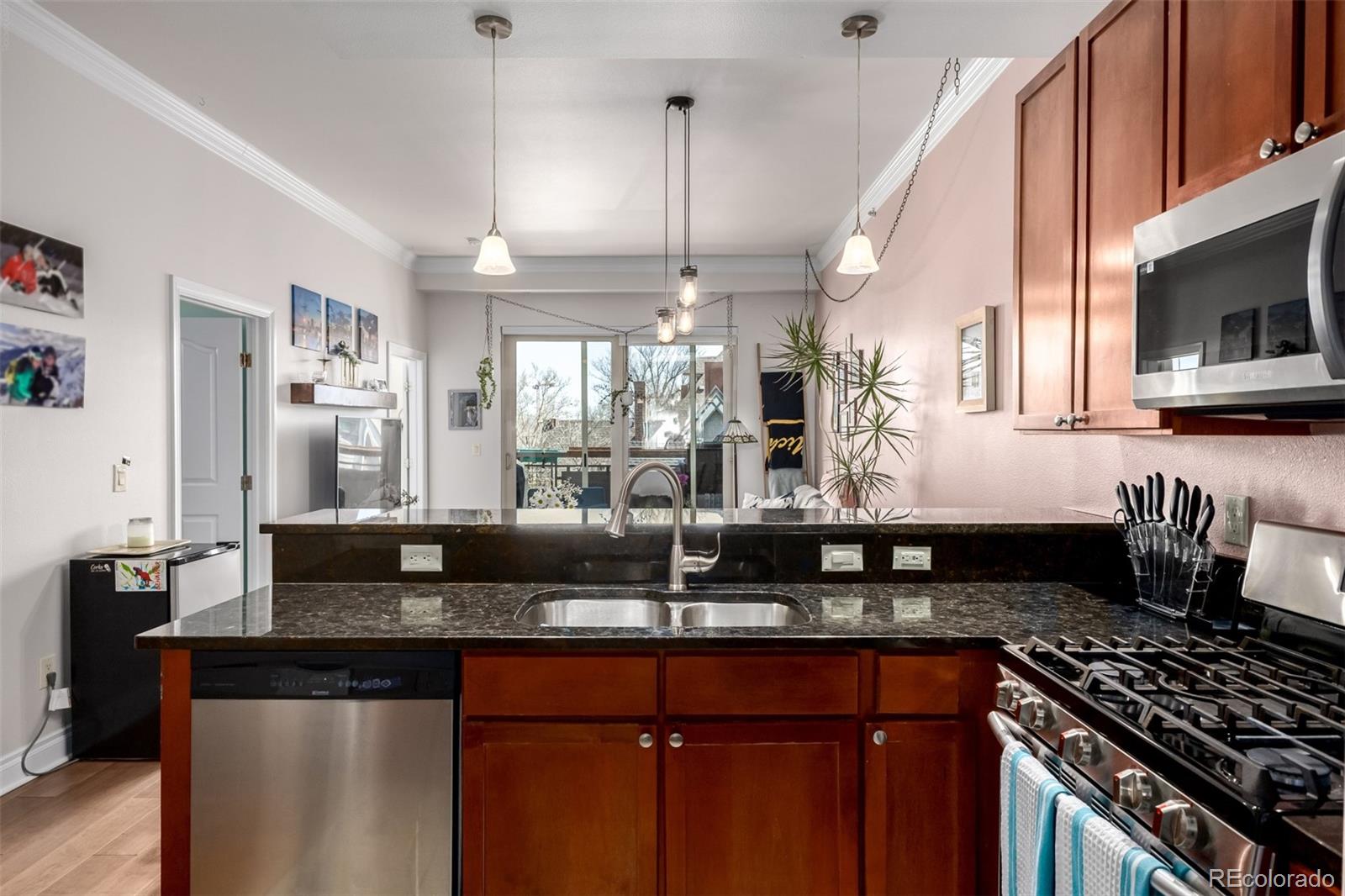 MLS Image #3 for 1700 n emerson street,denver, Colorado
