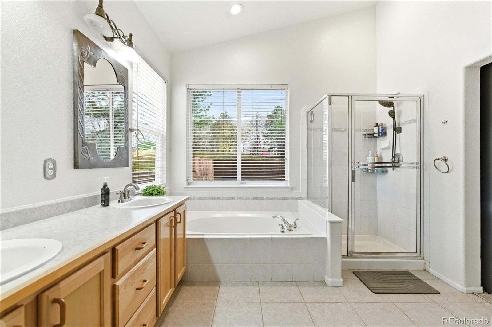 MLS Image #15 for 10894  willow reed circle,parker, Colorado