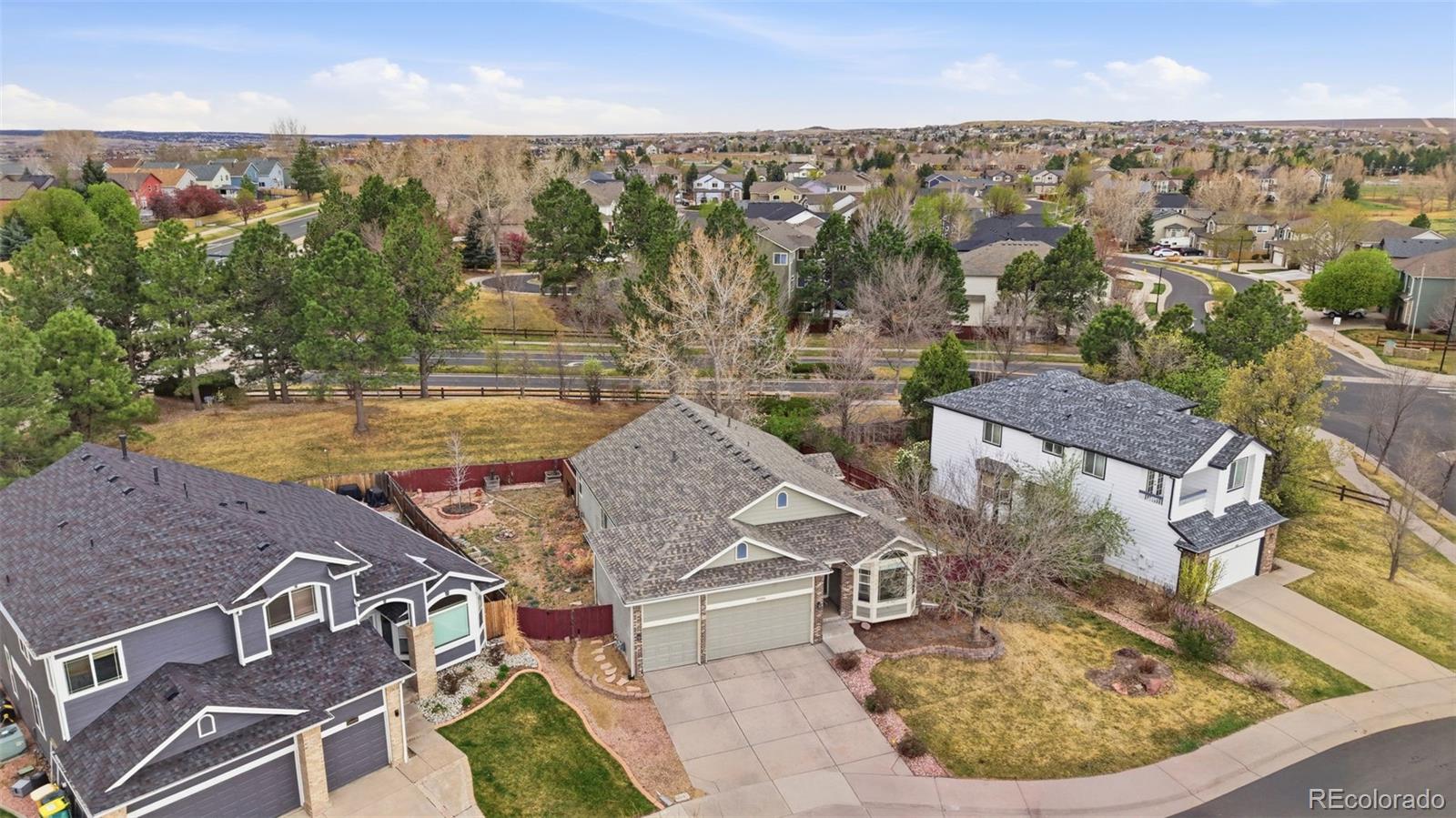 MLS Image #43 for 10894  willow reed circle,parker, Colorado