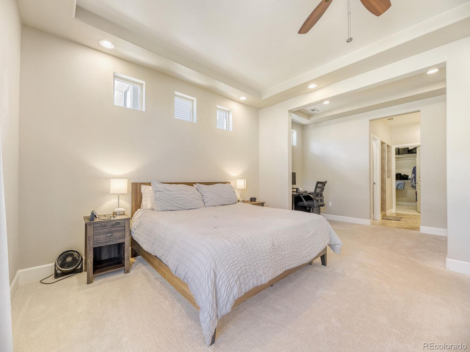 MLS Image #10 for 1610  exquisite street,castle rock, Colorado