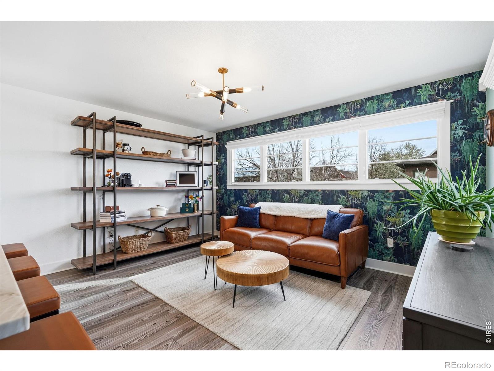 MLS Image #16 for 742  tenacity drive,longmont, Colorado