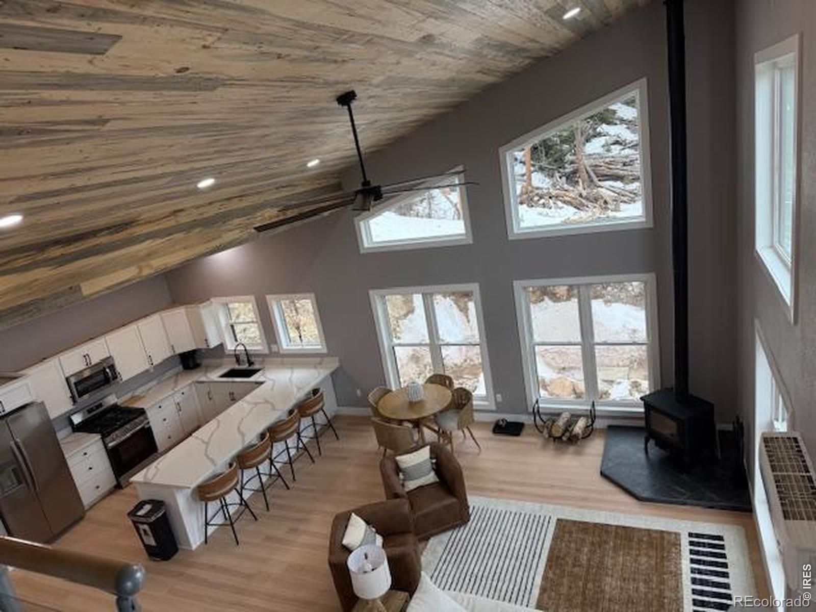 MLS Image #11 for 950  gold pan lane,fairplay, Colorado