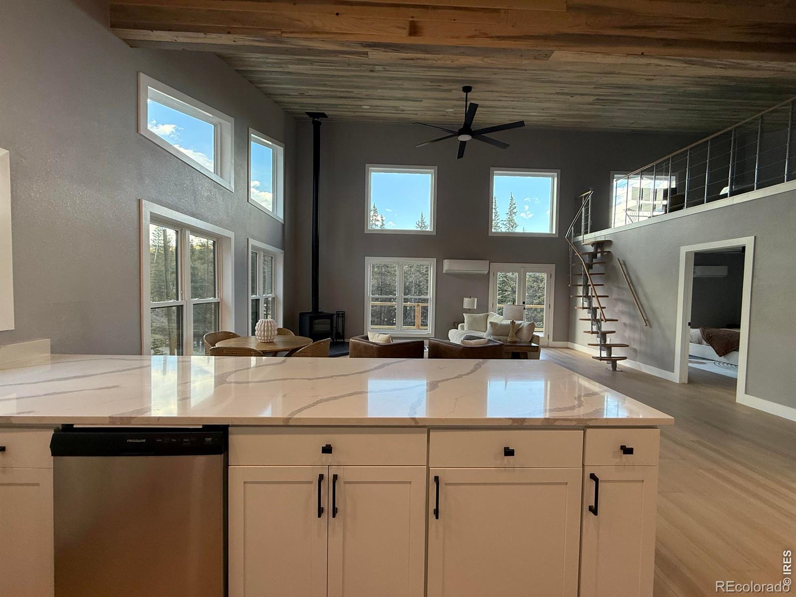 MLS Image #3 for 950  gold pan lane,fairplay, Colorado