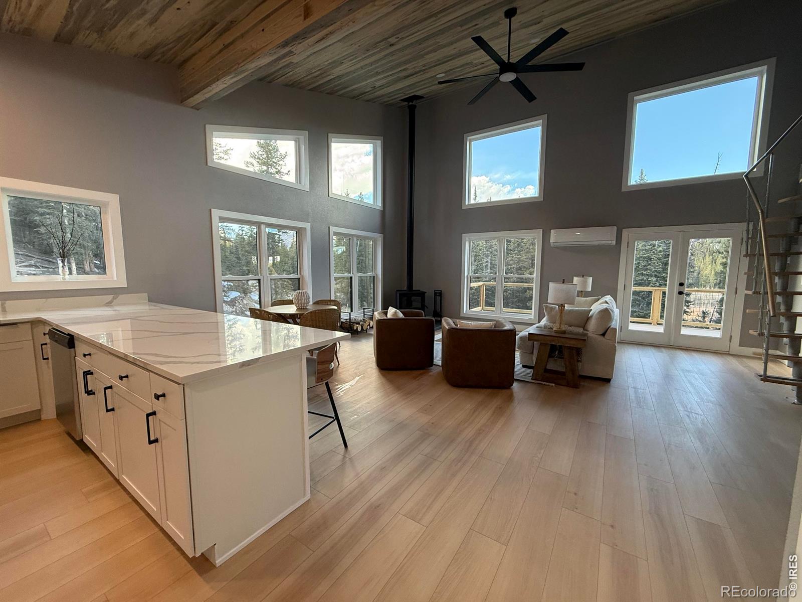 MLS Image #4 for 950  gold pan lane,fairplay, Colorado