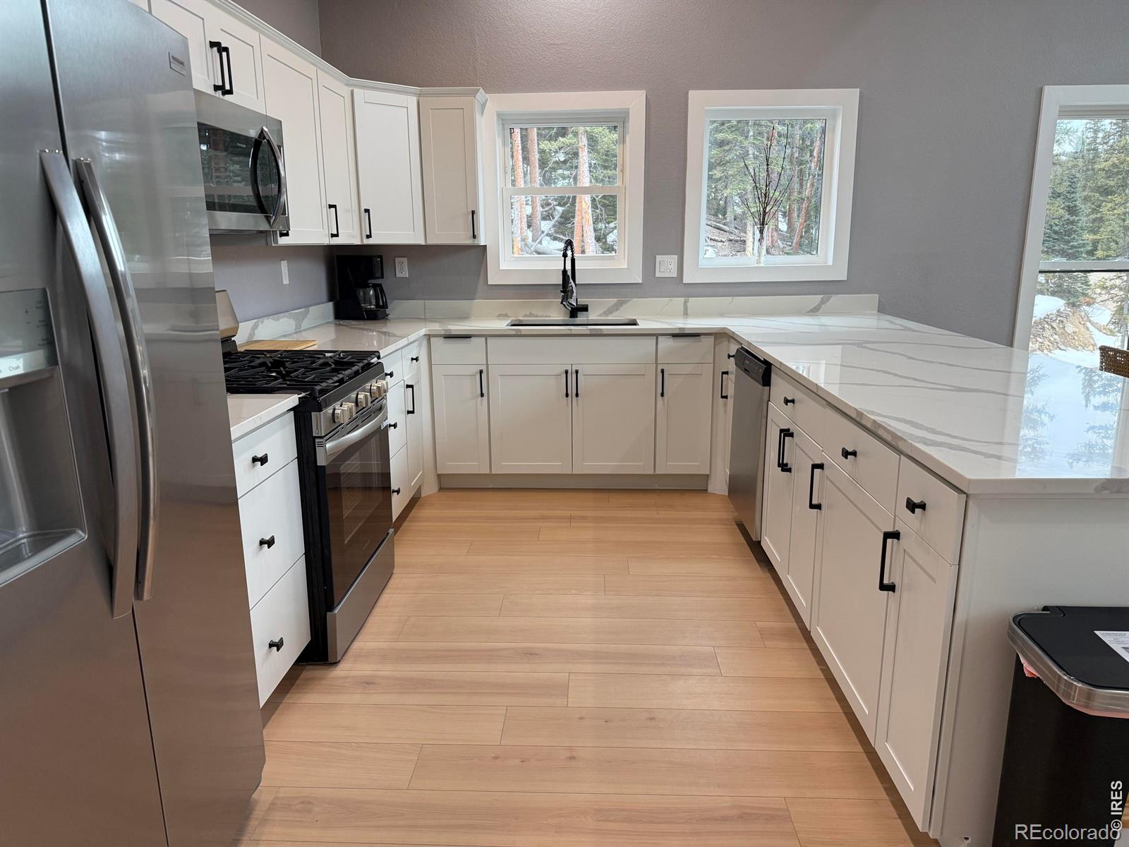 MLS Image #5 for 950  gold pan lane,fairplay, Colorado
