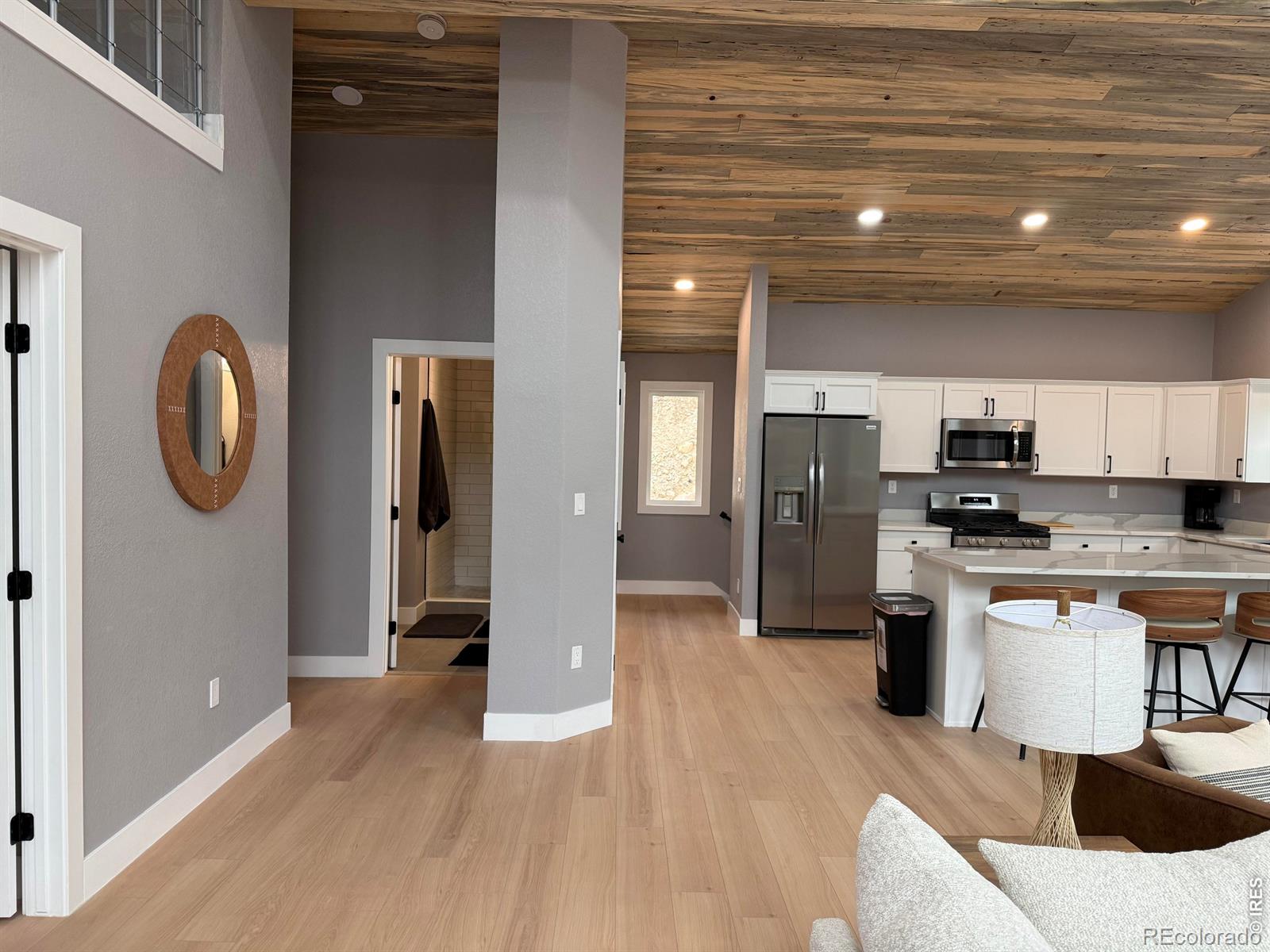 MLS Image #6 for 950  gold pan lane,fairplay, Colorado