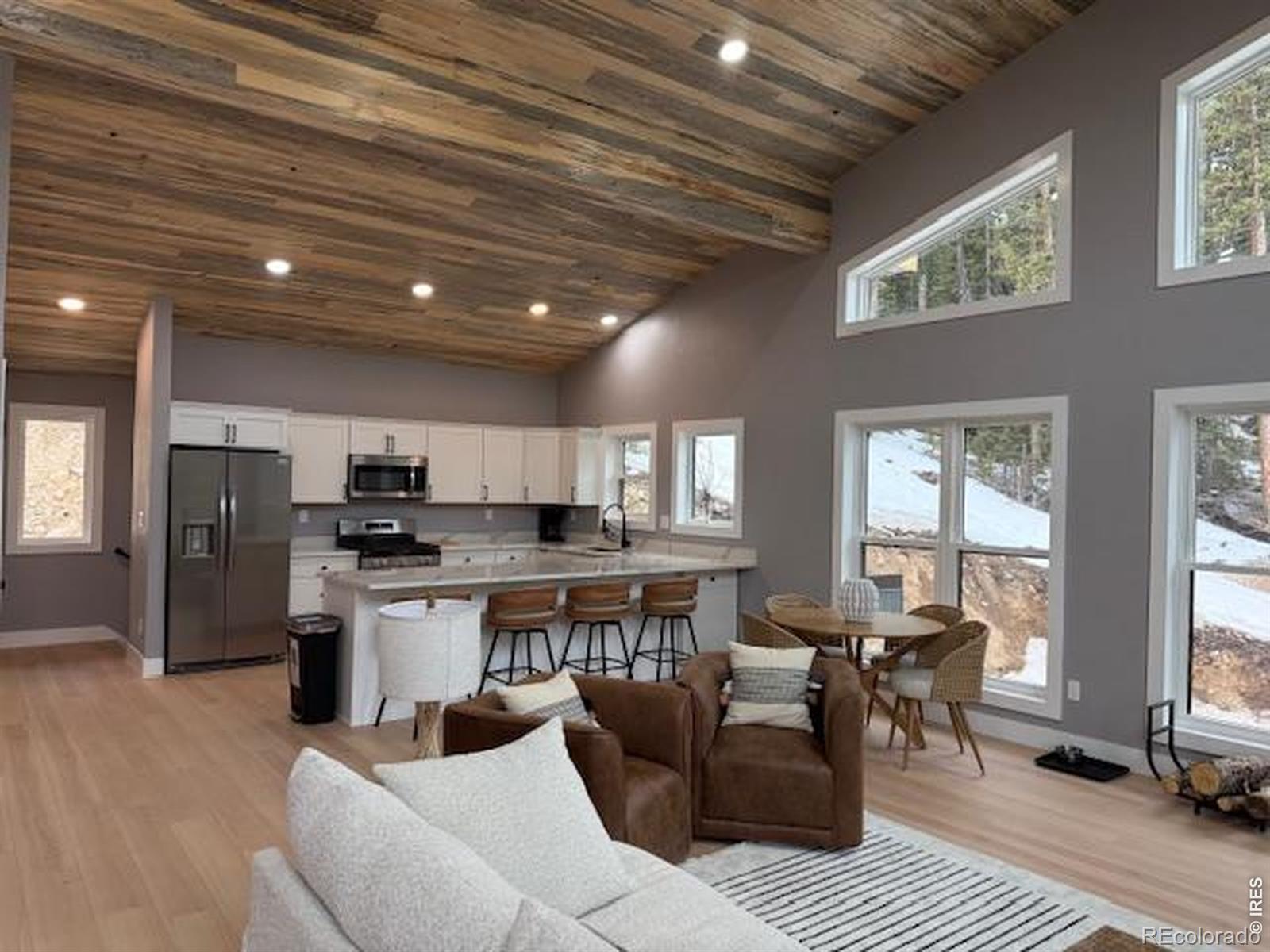 MLS Image #8 for 950  gold pan lane,fairplay, Colorado