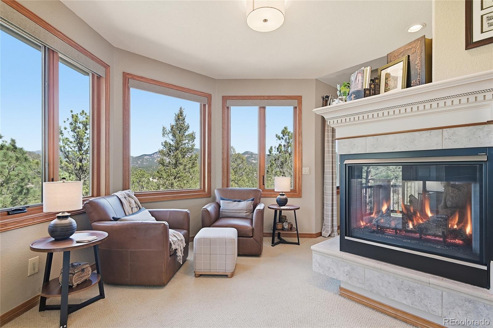 MLS Image #13 for 13695  may long court,pine, Colorado