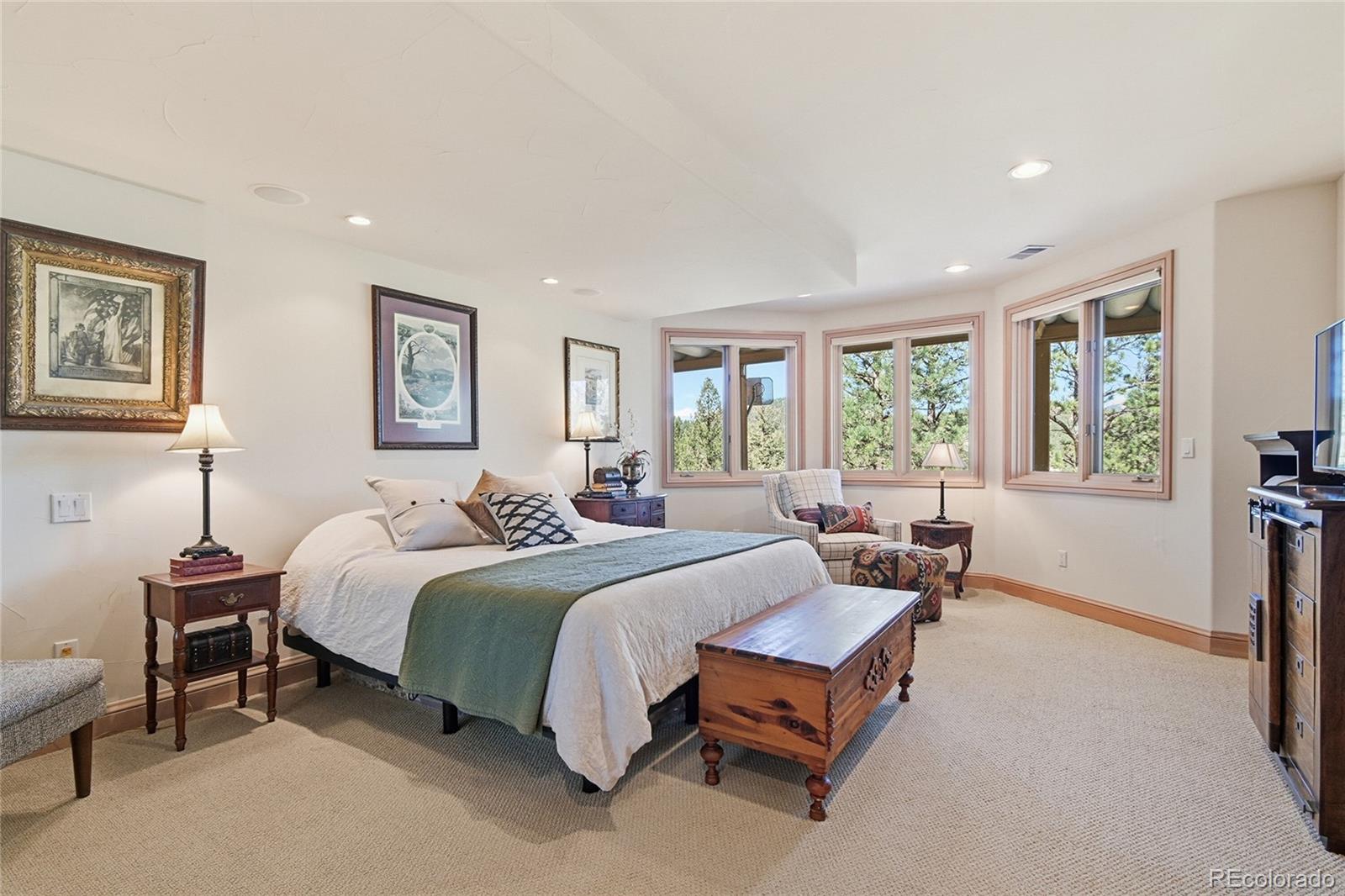 MLS Image #22 for 13695  may long court,pine, Colorado
