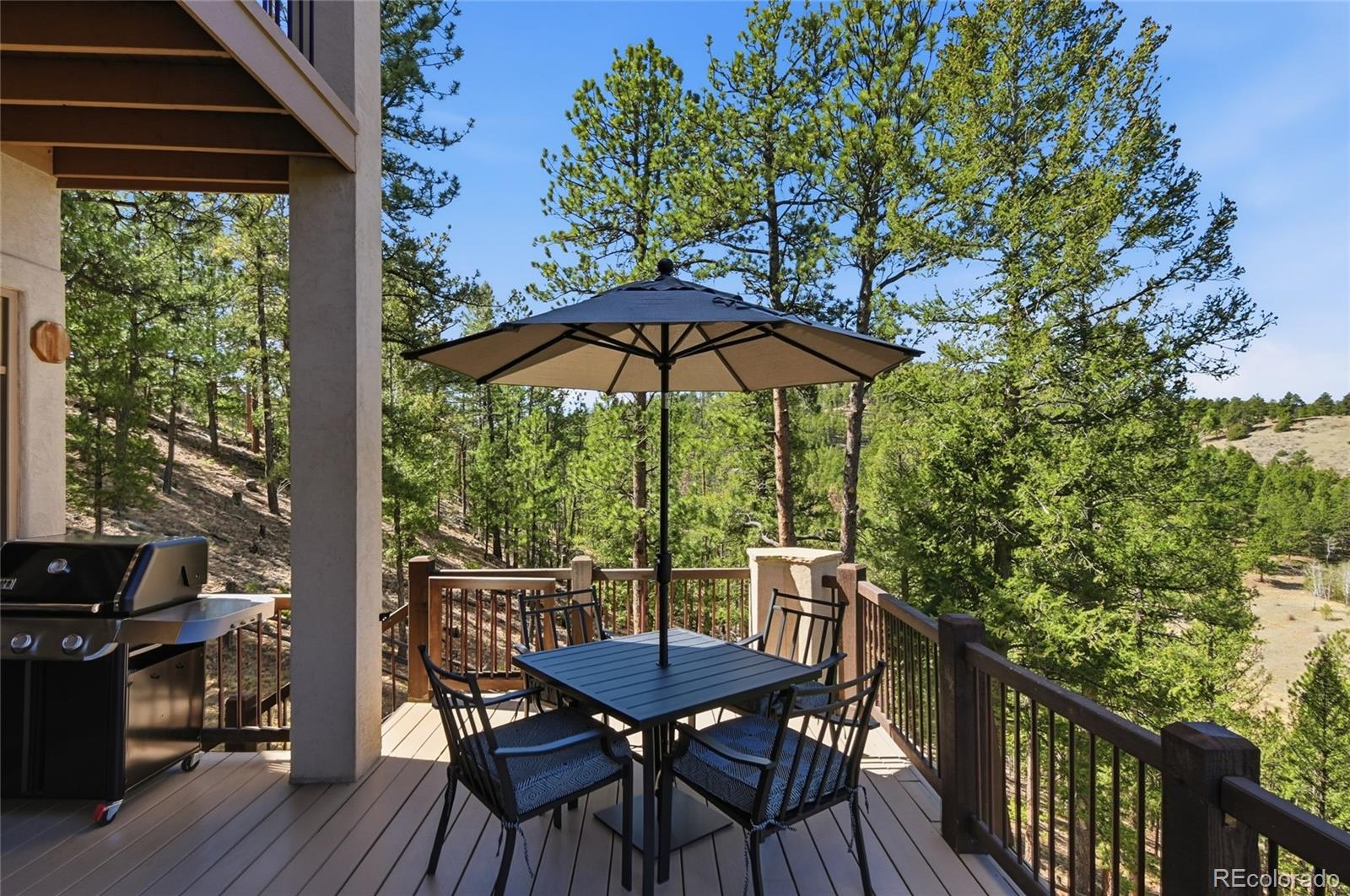 MLS Image #25 for 13695  may long court,pine, Colorado