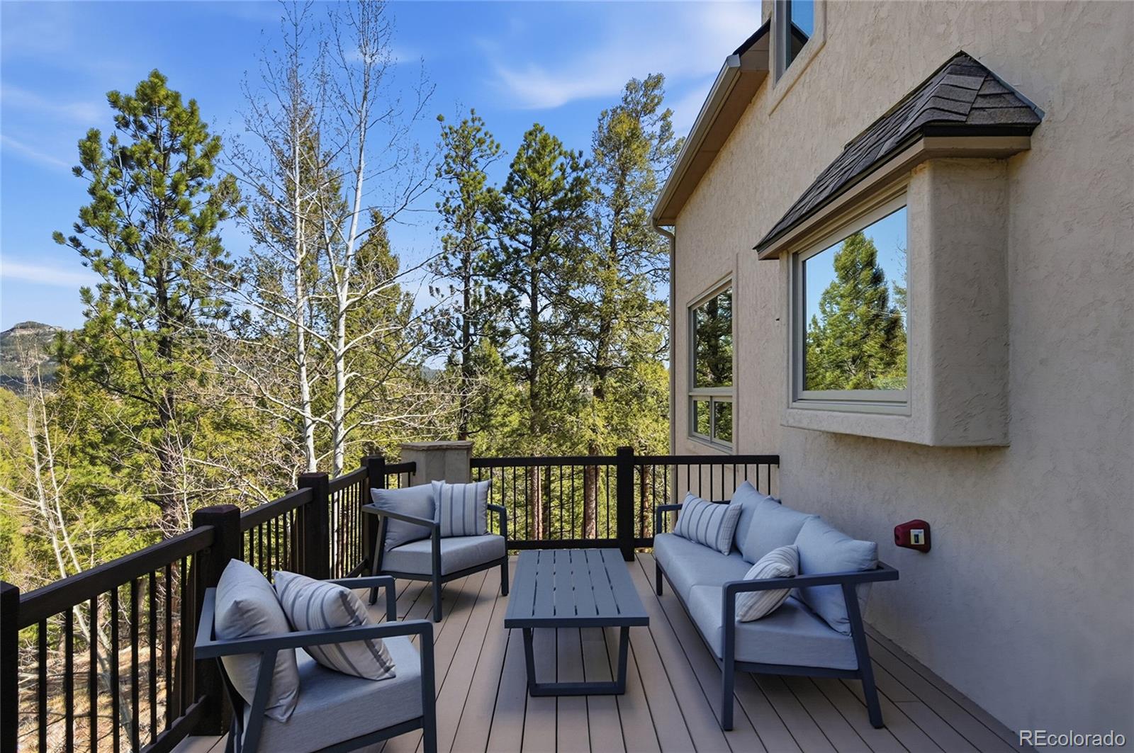 MLS Image #26 for 13695  may long court,pine, Colorado