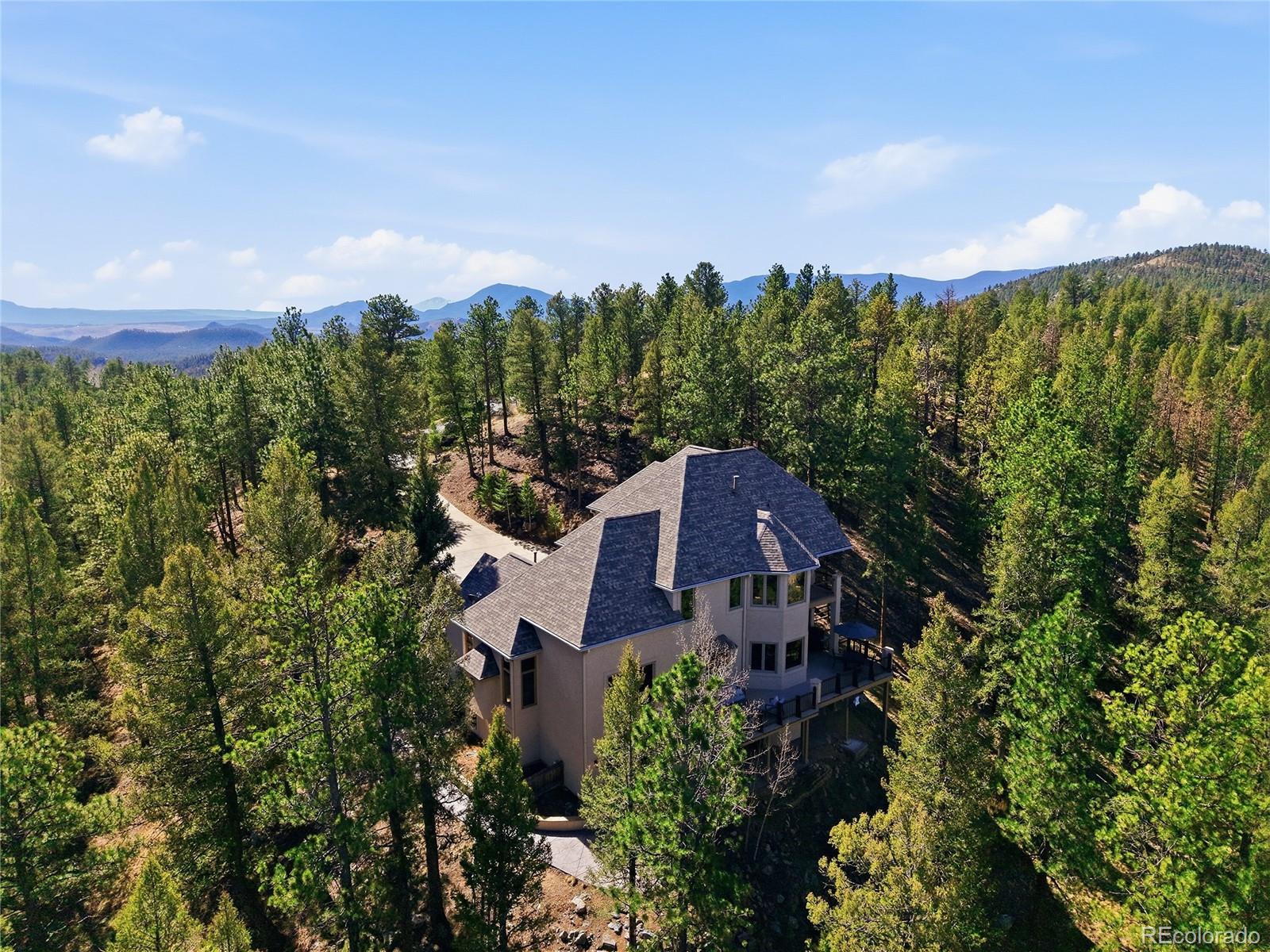 MLS Image #29 for 13695  may long court,pine, Colorado