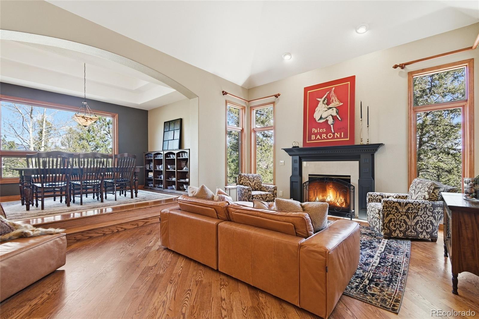 MLS Image #3 for 13695  may long court,pine, Colorado