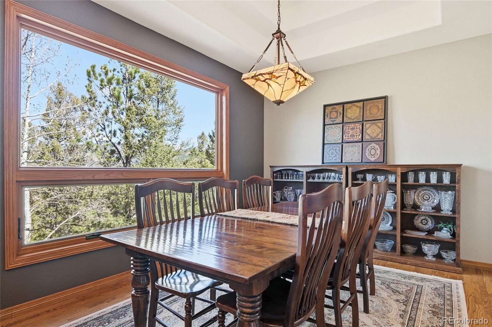 MLS Image #6 for 13695  may long court,pine, Colorado