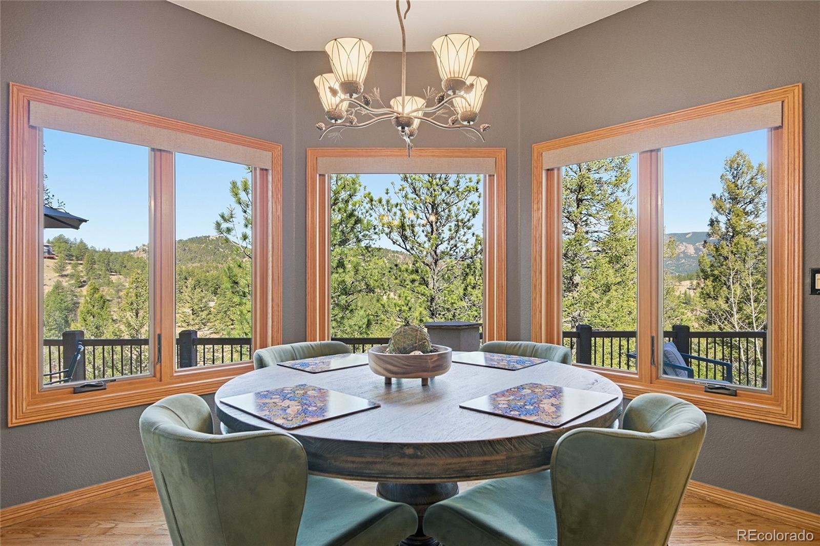 MLS Image #8 for 13695  may long court,pine, Colorado