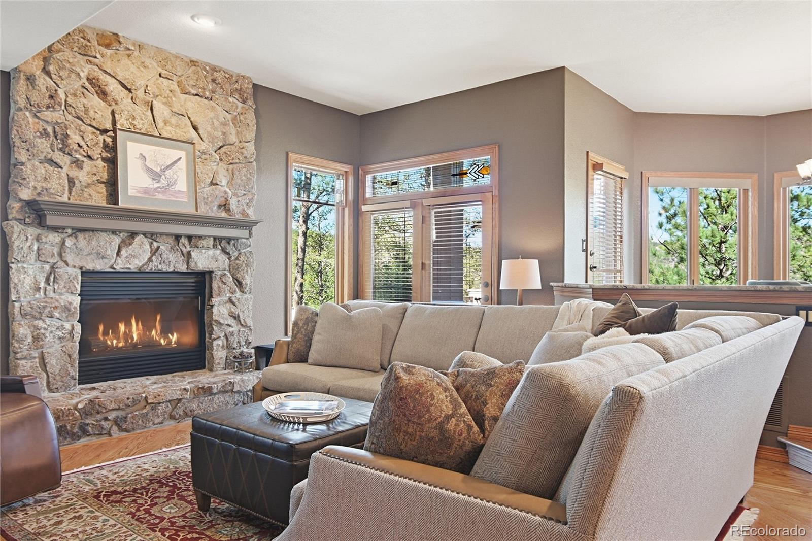 MLS Image #9 for 13695  may long court,pine, Colorado