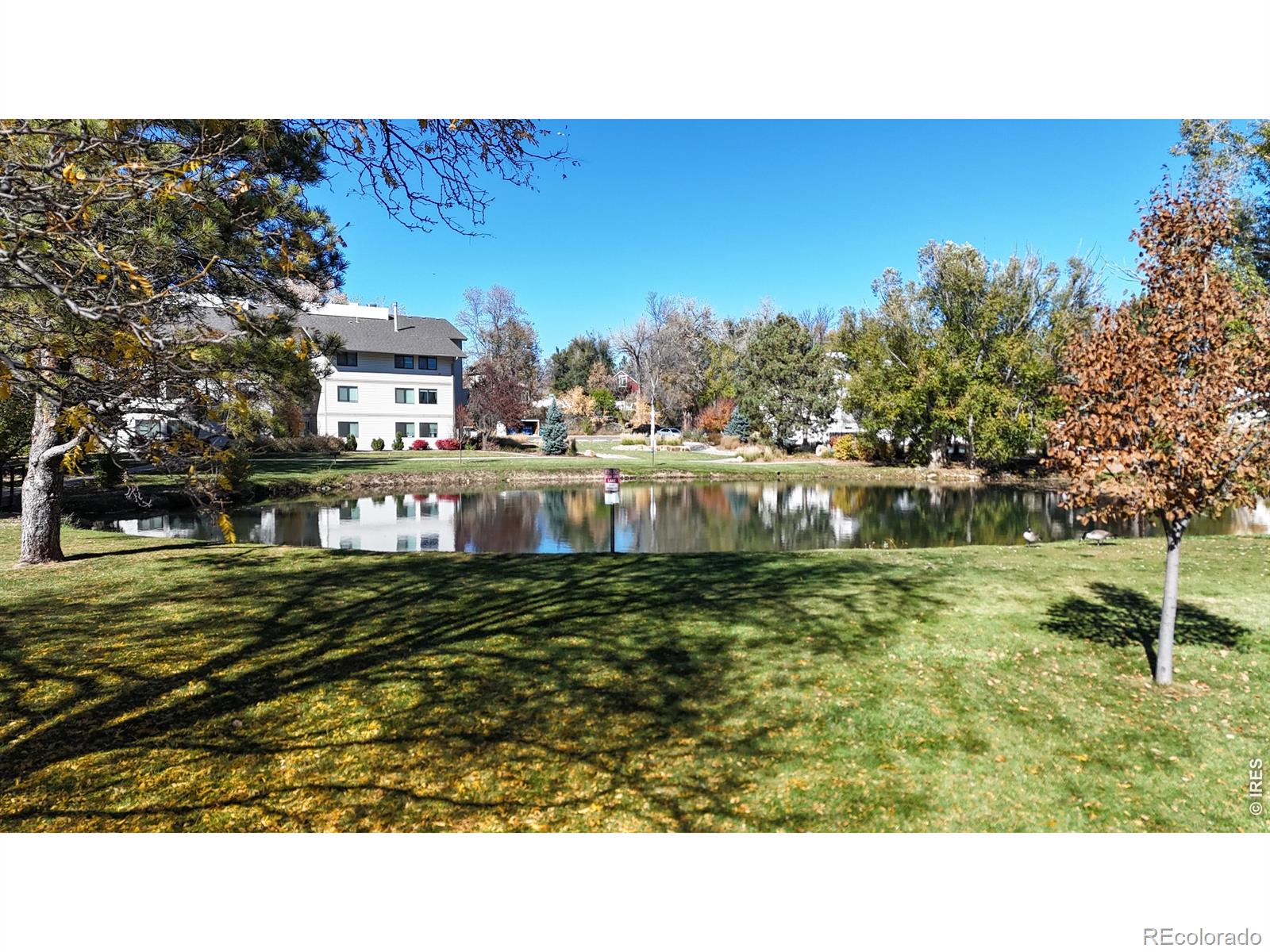 MLS Image #20 for 1705  heatheridge road,fort collins, Colorado