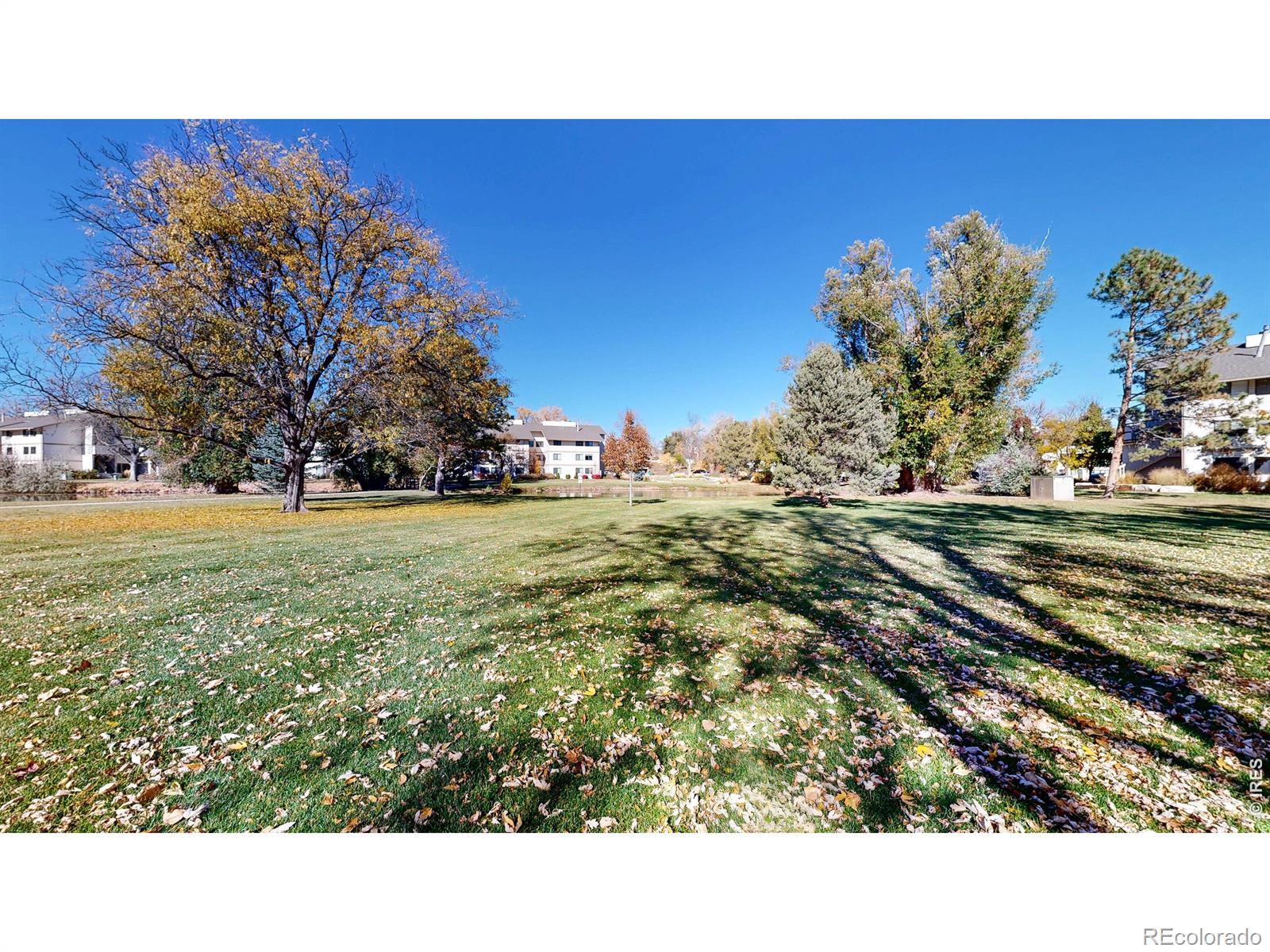 MLS Image #21 for 1705  heatheridge road,fort collins, Colorado