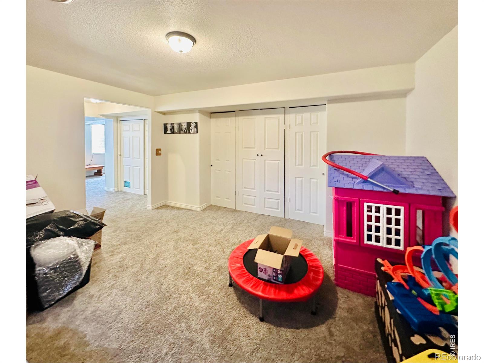 MLS Image #26 for 2105  kiersi court,johnstown, Colorado