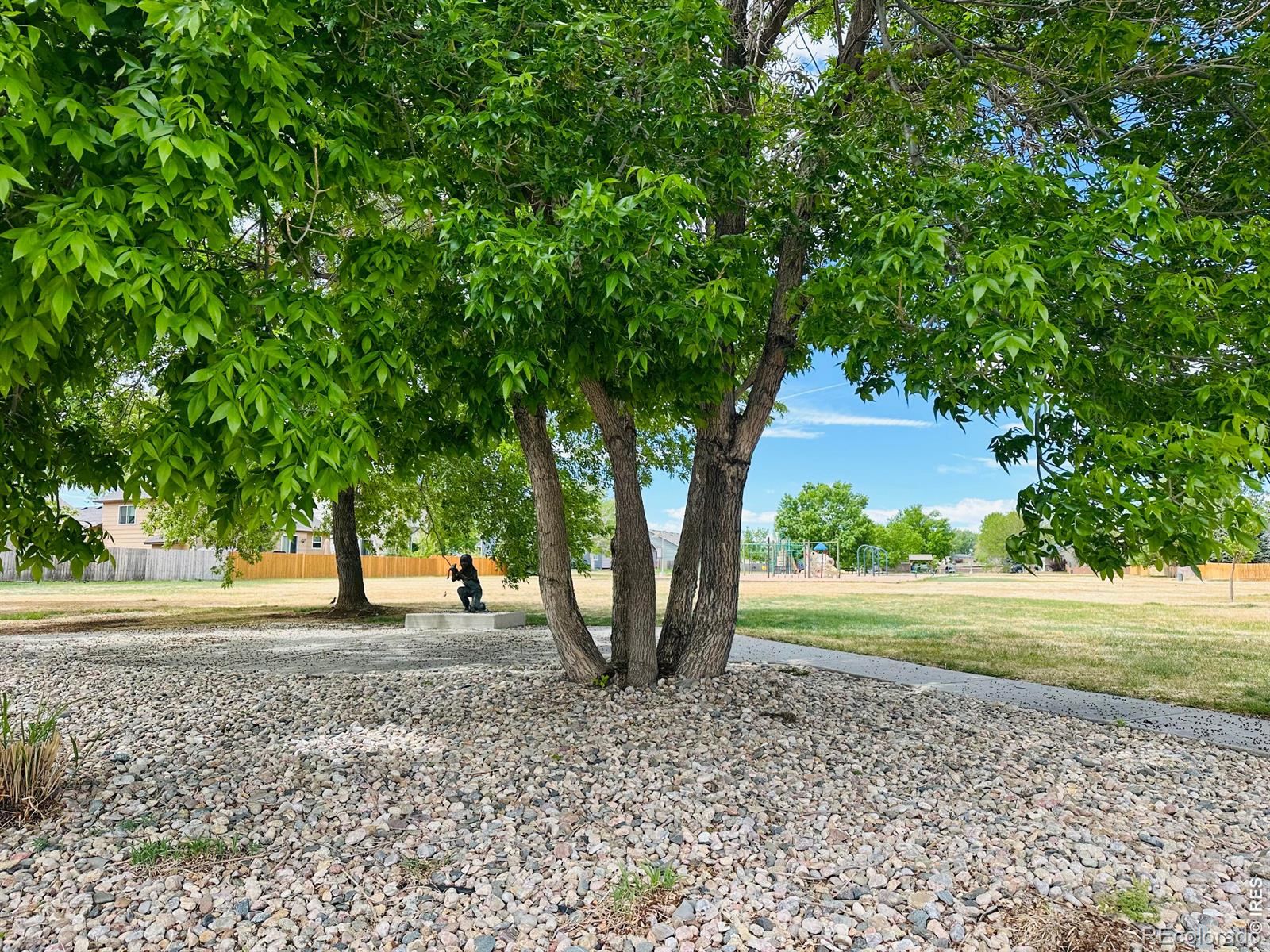 MLS Image #45 for 2105  kiersi court,johnstown, Colorado
