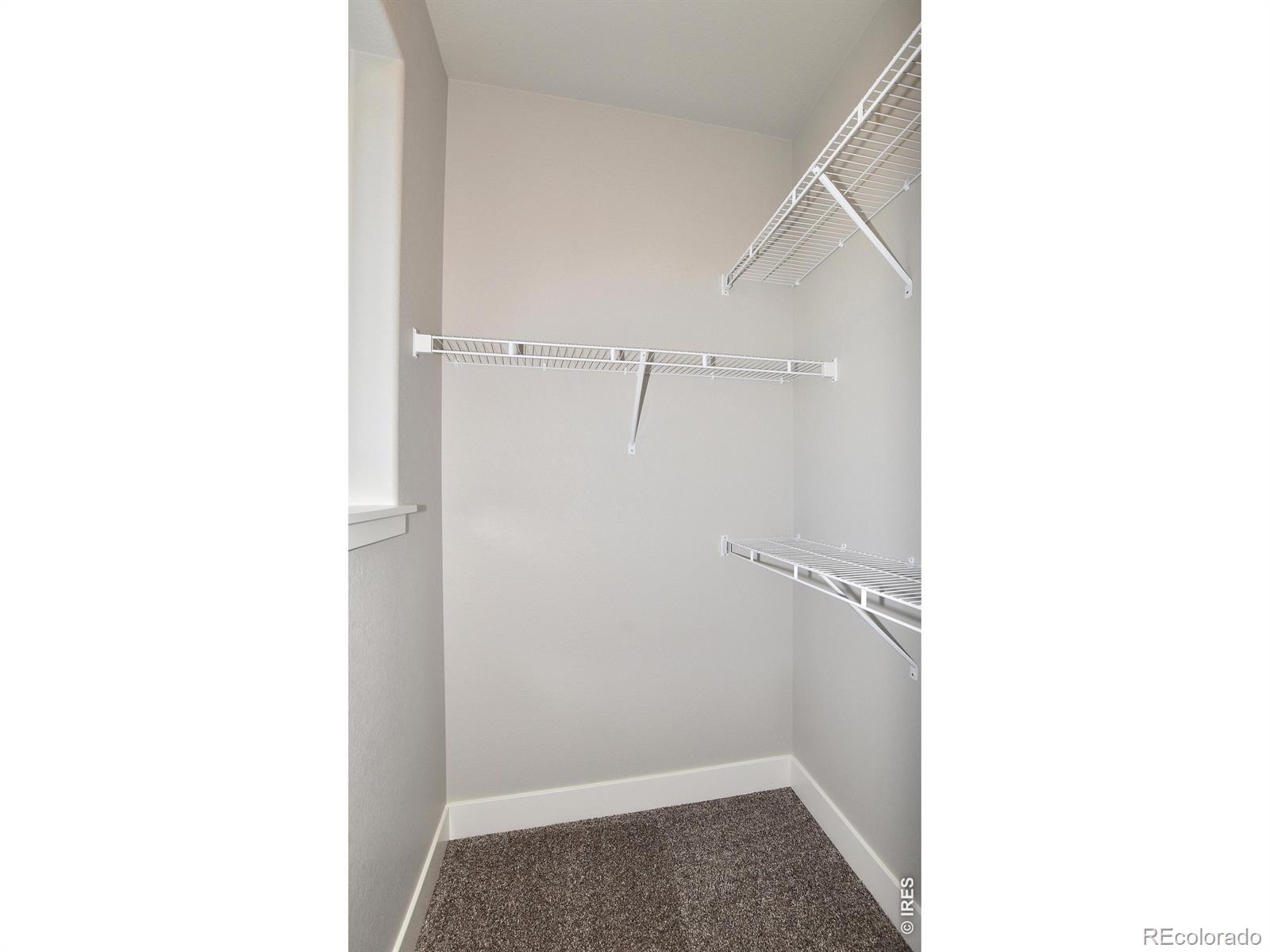 MLS Image #24 for 1189  crown sparrow street,johnstown, Colorado