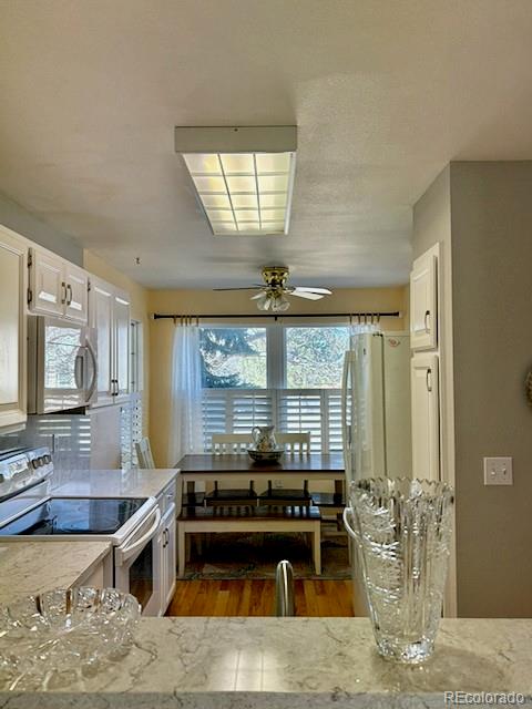 MLS Image #11 for 4  shetland court,highlands ranch, Colorado