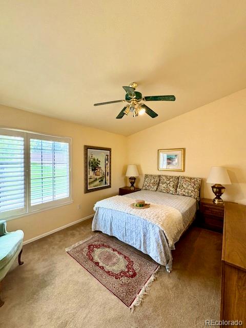 MLS Image #18 for 4  shetland court,highlands ranch, Colorado