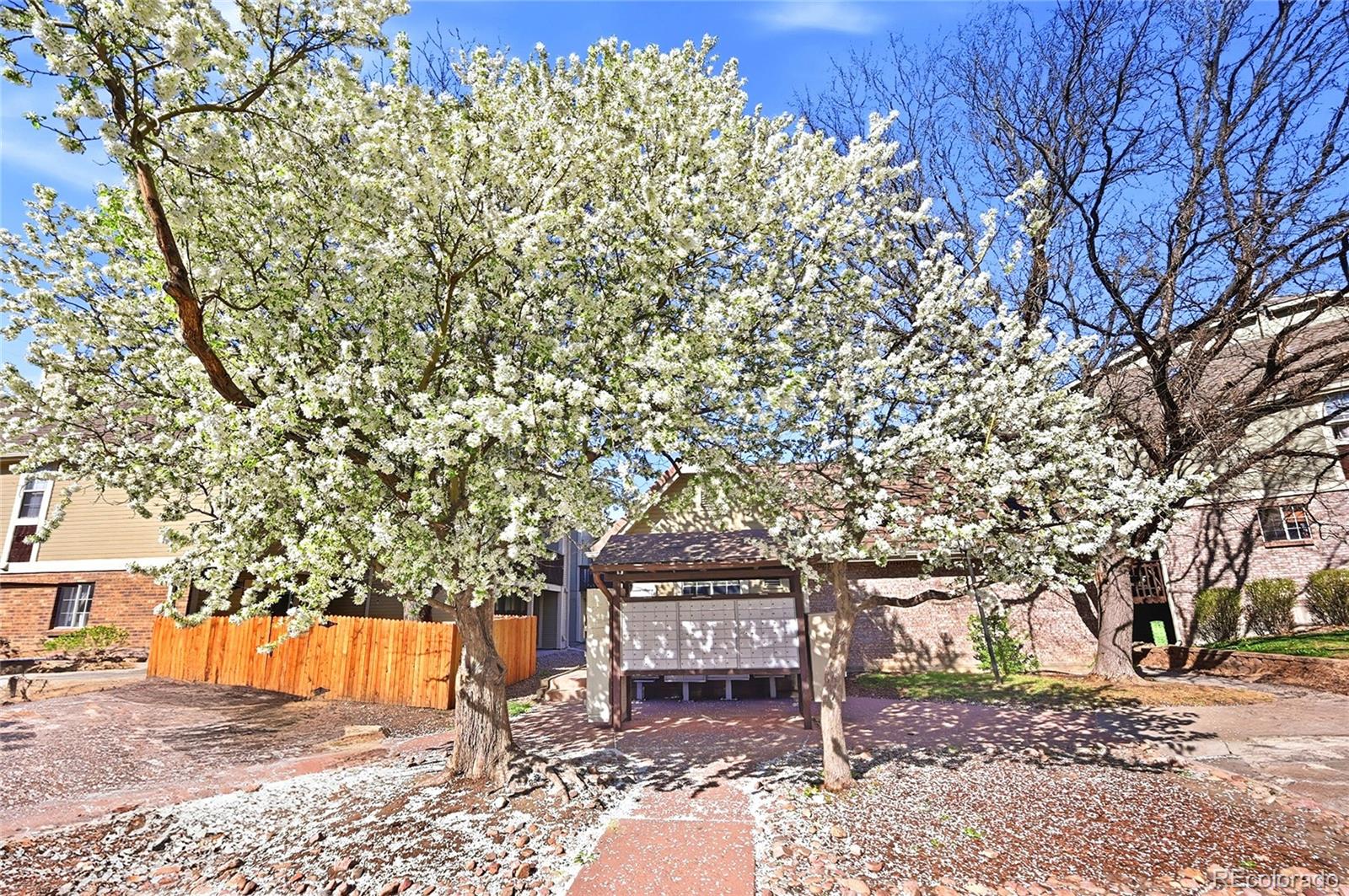 MLS Image #19 for 1885 s quebec way,denver, Colorado