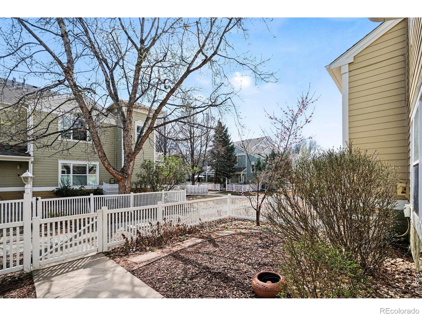 MLS Image #21 for 640  gooseberry drive,longmont, Colorado